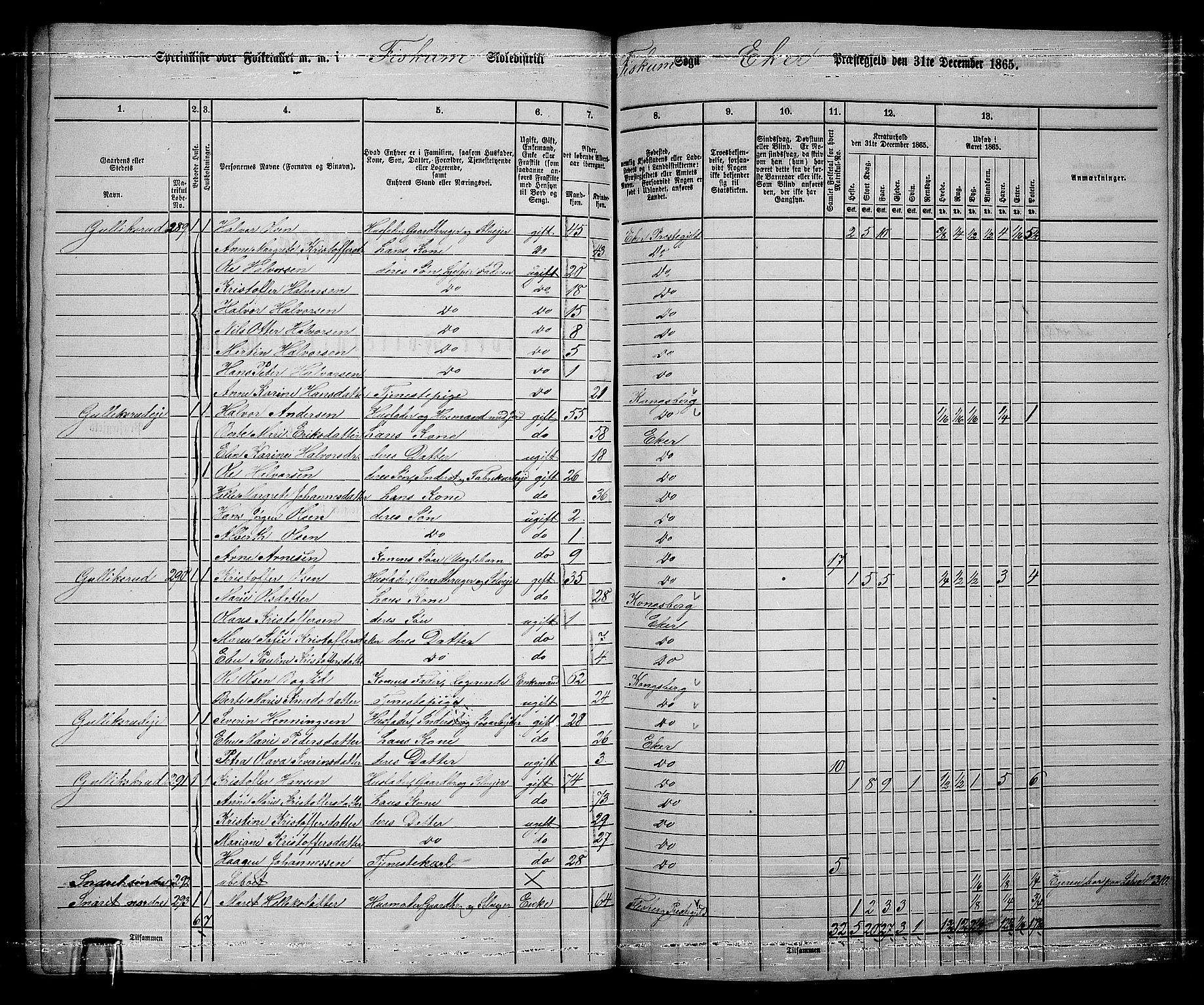 RA, 1865 census for Eiker, 1865, p. 516