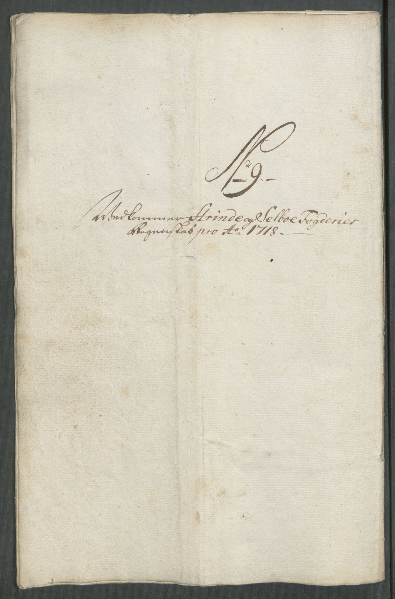 Rentekammeret inntil 1814, Reviderte regnskaper, Fogderegnskap, RA/EA-4092/R61/L4116: Fogderegnskap Strinda og Selbu, 1717-1718, p. 398