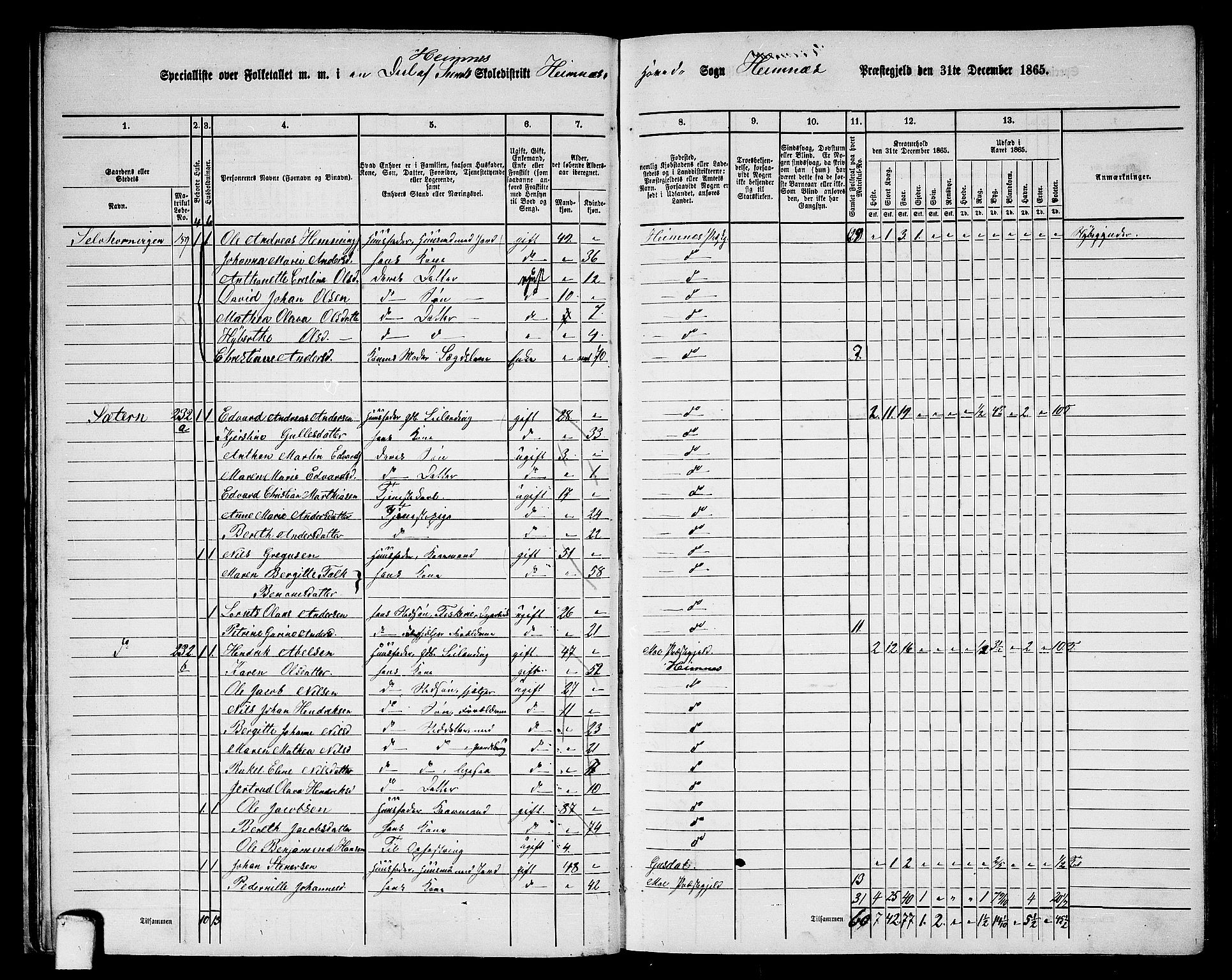 RA, 1865 census for Hemnes, 1865, p. 36