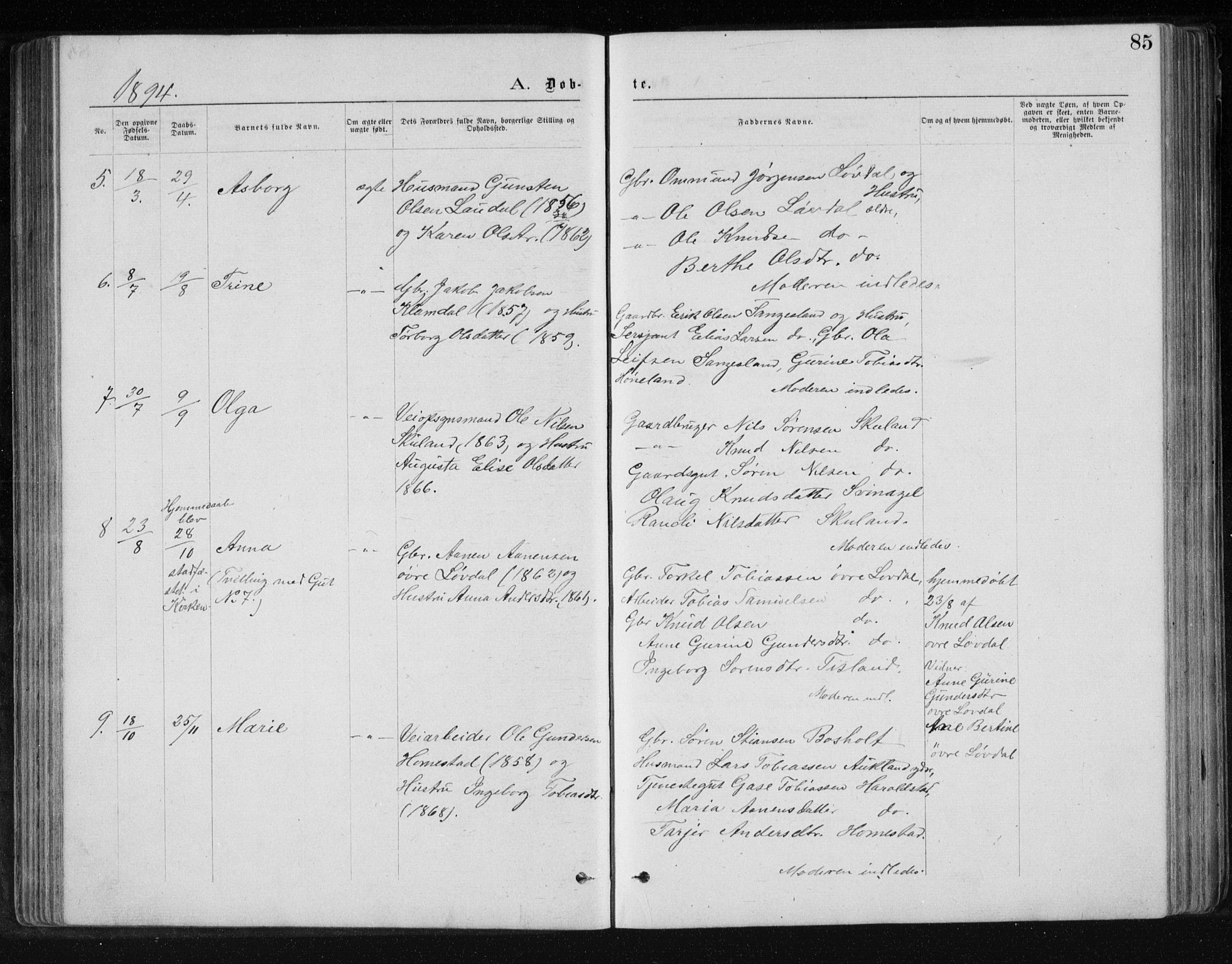 Holum sokneprestkontor, AV/SAK-1111-0022/F/Fb/Fbb/L0003: Parish register (copy) no. B 3, 1875-1898, p. 85