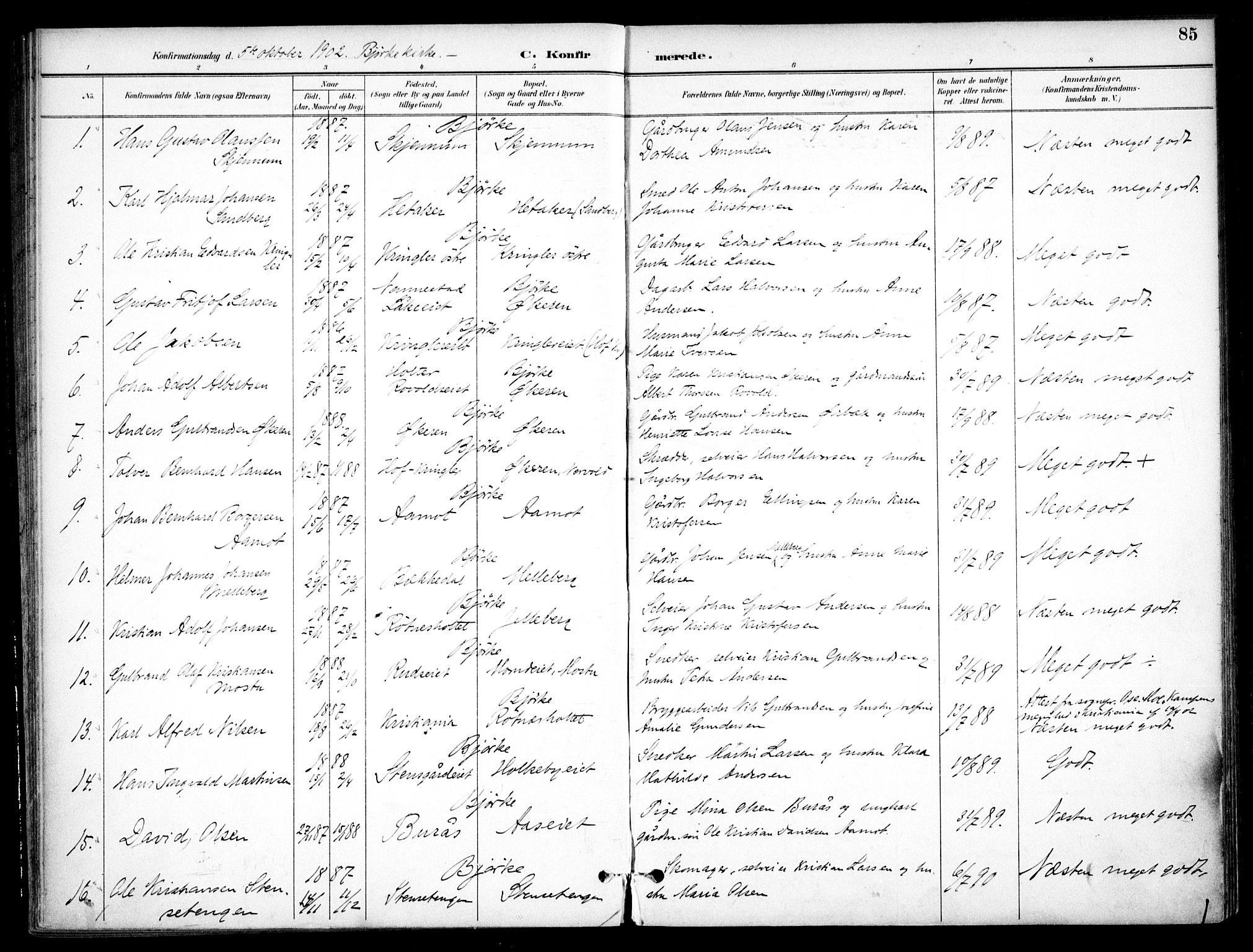 Nannestad prestekontor Kirkebøker, SAO/A-10414a/F/Fc/L0002: Parish register (official) no. III 2, 1893-1907, p. 85