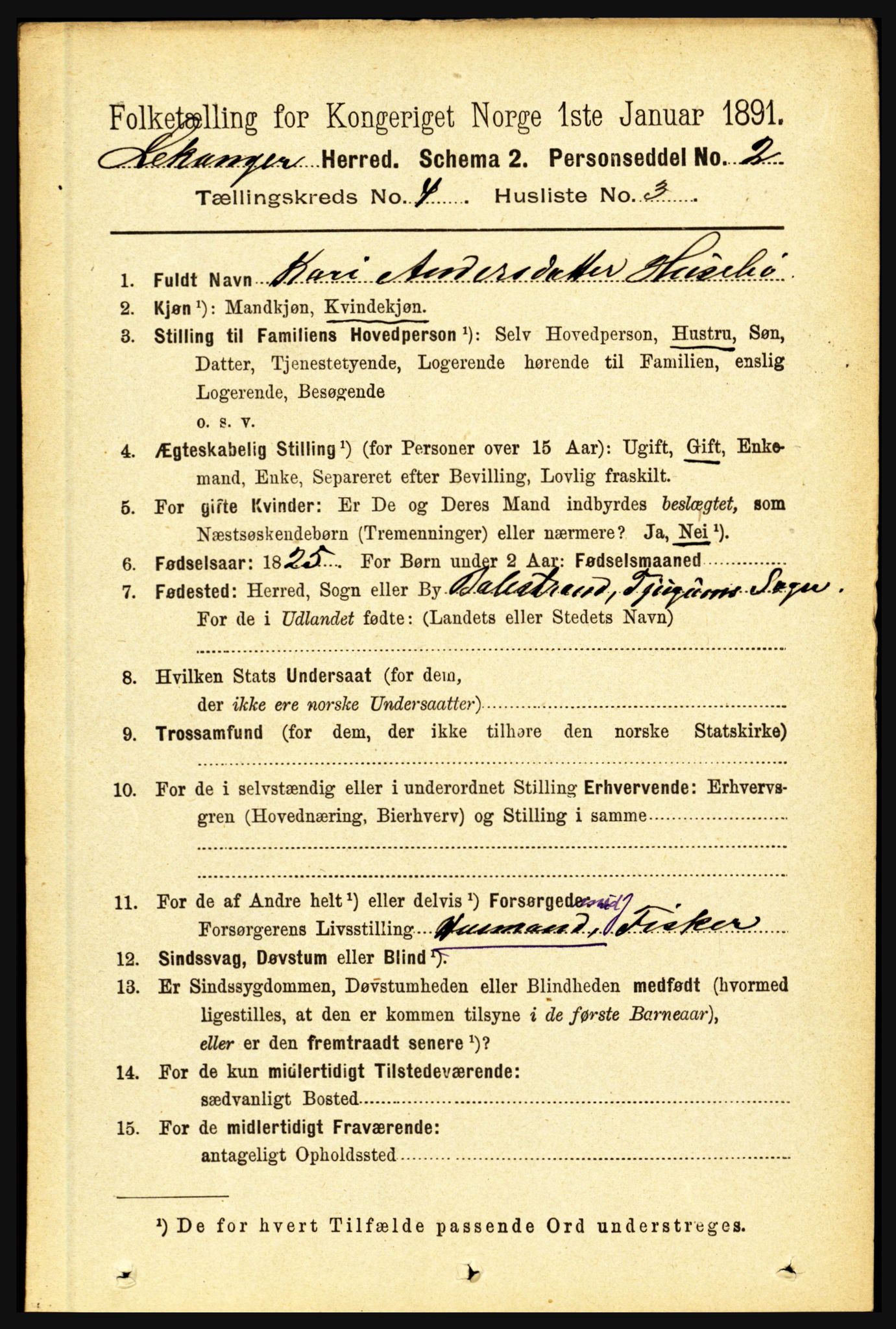 RA, 1891 census for 1419 Leikanger, 1891, p. 577