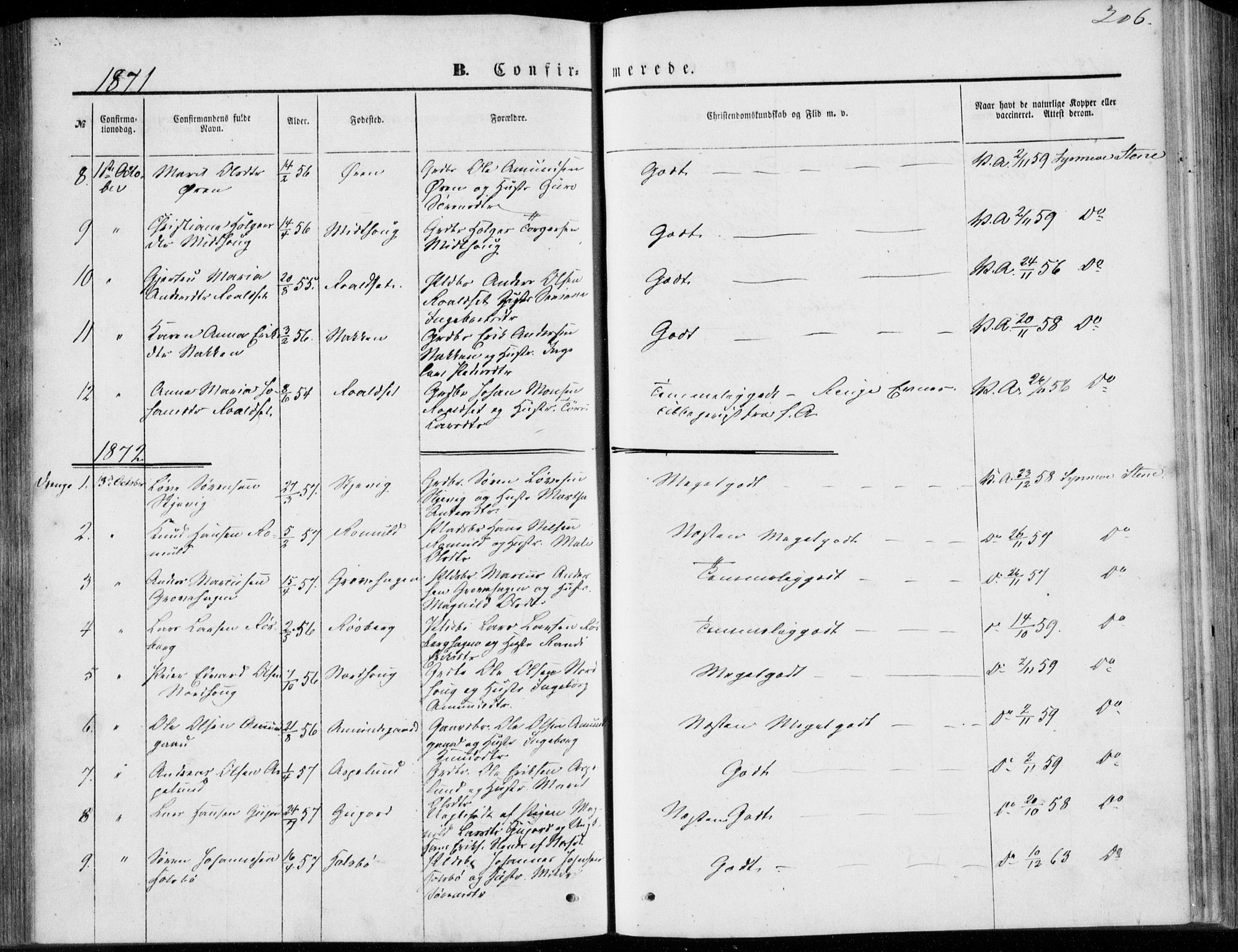 Ministerialprotokoller, klokkerbøker og fødselsregistre - Møre og Romsdal, SAT/A-1454/557/L0681: Parish register (official) no. 557A03, 1869-1886, p. 206
