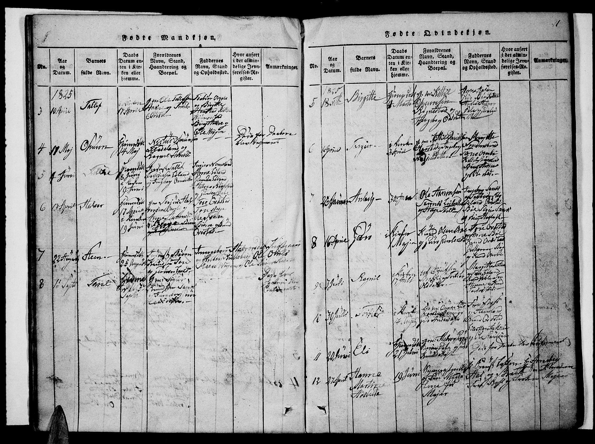 Valle sokneprestkontor, AV/SAK-1111-0044/F/Fb/Fbc/L0001: Parish register (copy) no. B 1 /1, 1816-1829, p. 21