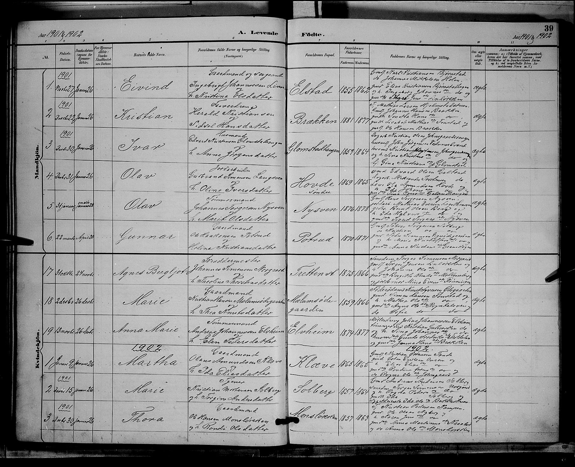 Øyer prestekontor, SAH/PREST-084/H/Ha/Hab/L0004: Parish register (copy) no. 4, 1894-1905, p. 39