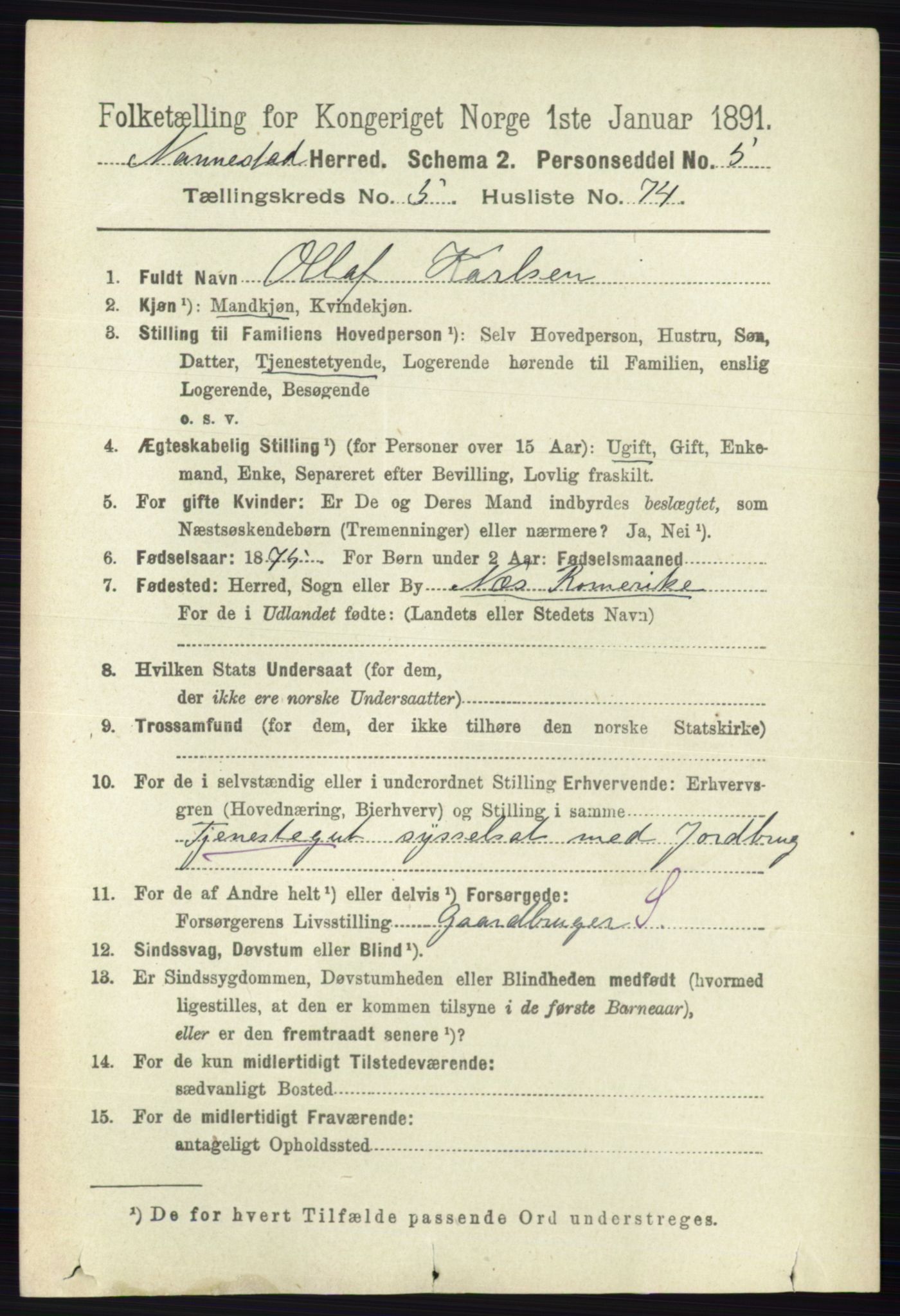 RA, 1891 census for 0238 Nannestad, 1891, p. 2992