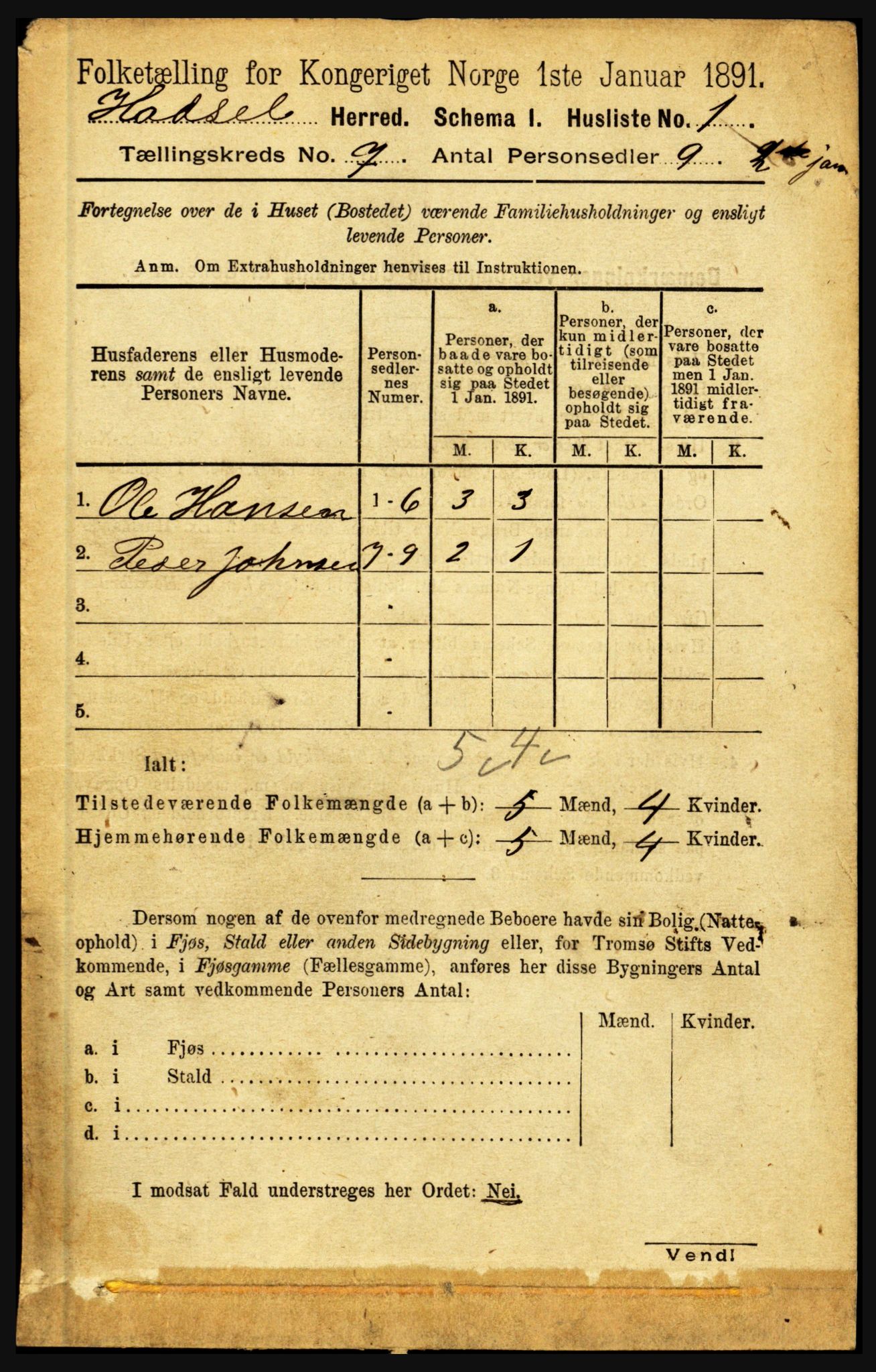 RA, 1891 census for 1866 Hadsel, 1891, p. 3061