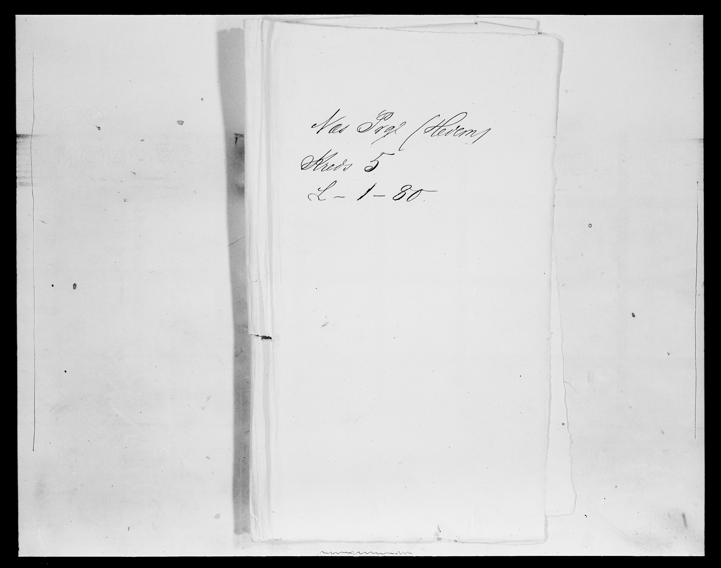 SAH, 1875 census for 0411P Nes, 1875, p. 787