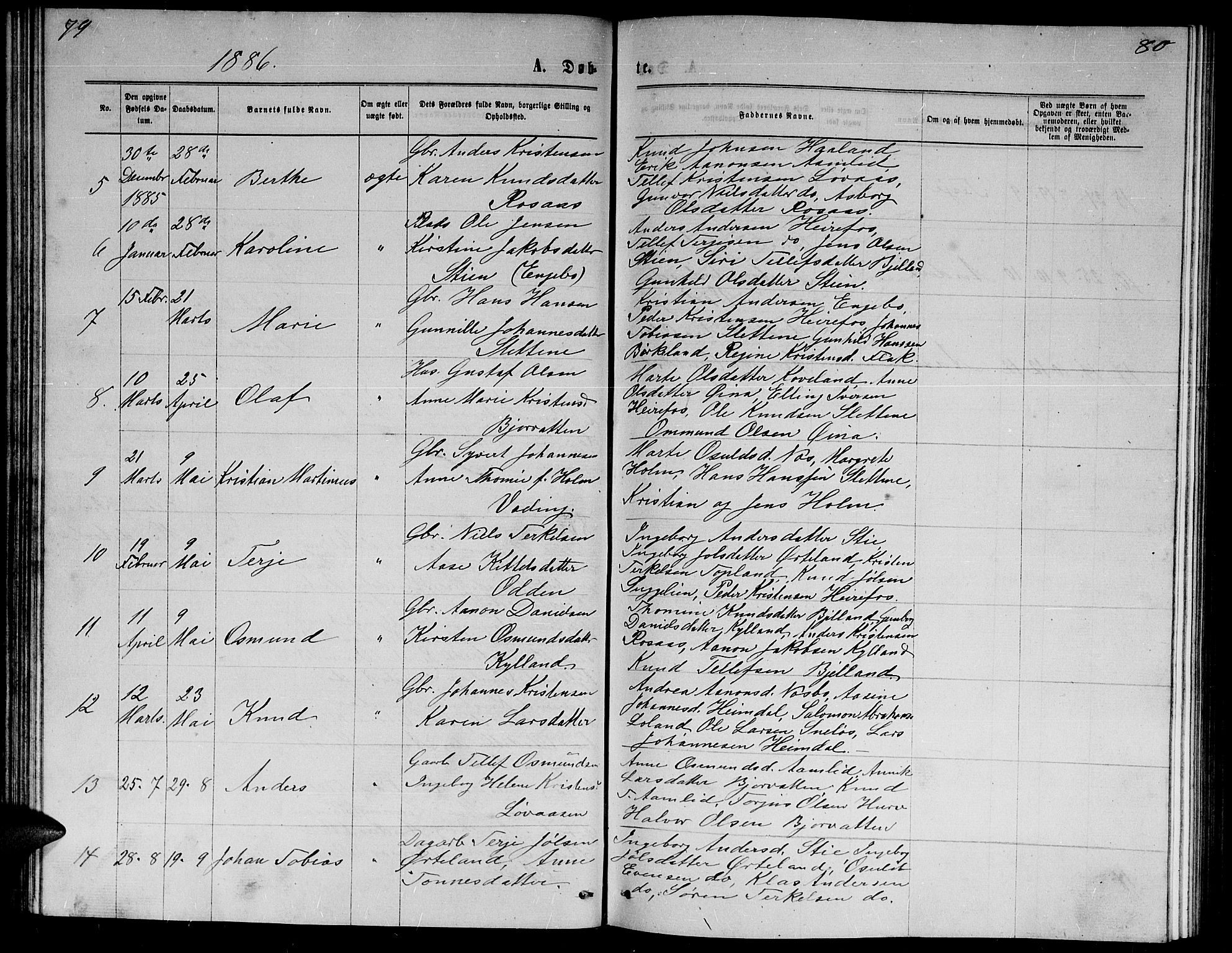 Herefoss sokneprestkontor, AV/SAK-1111-0019/F/Fb/Fba/L0002: Parish register (copy) no. B 2, 1868-1886, p. 79-80