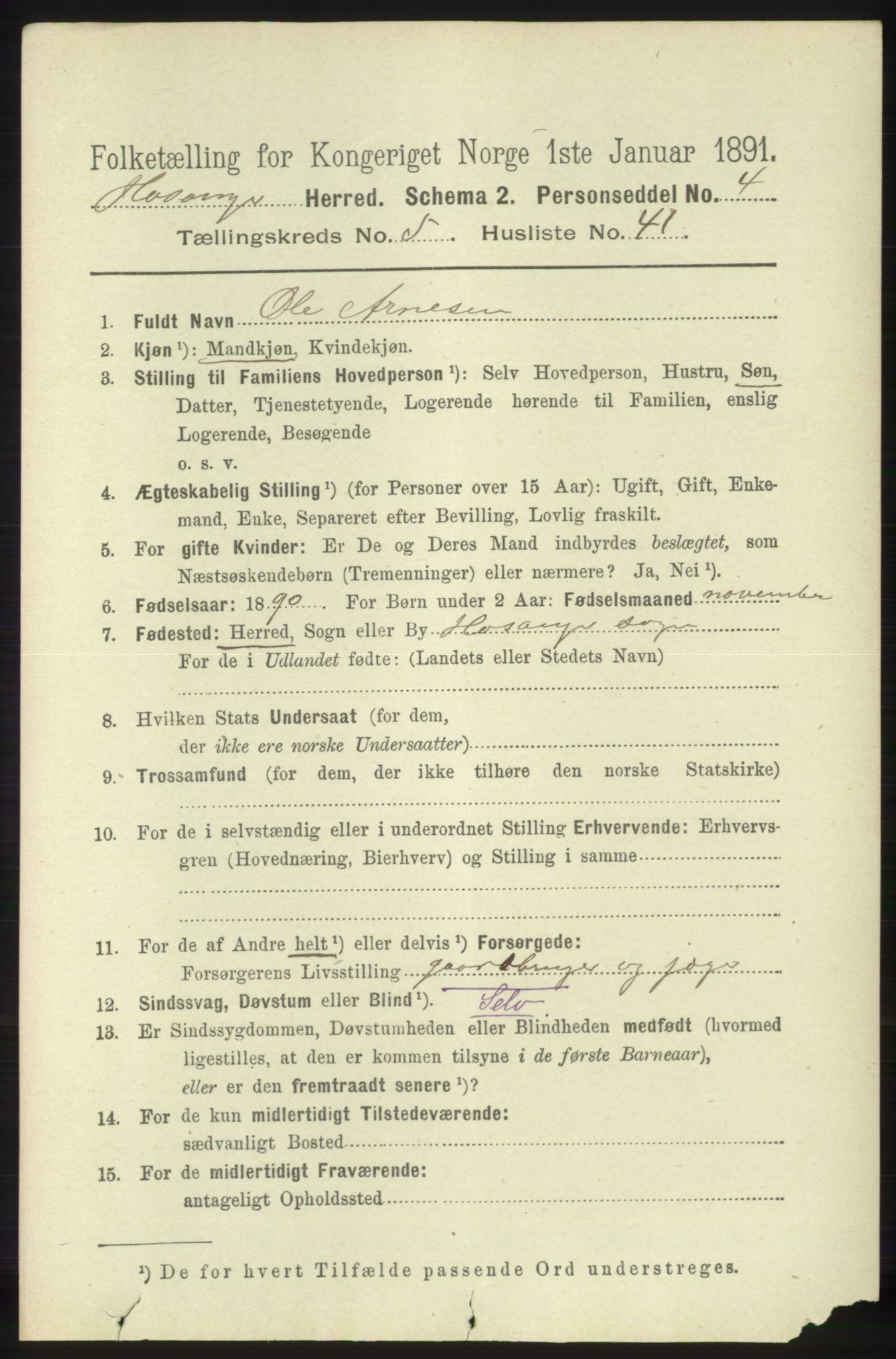 RA, 1891 census for 1253 Hosanger, 1891, p. 2081