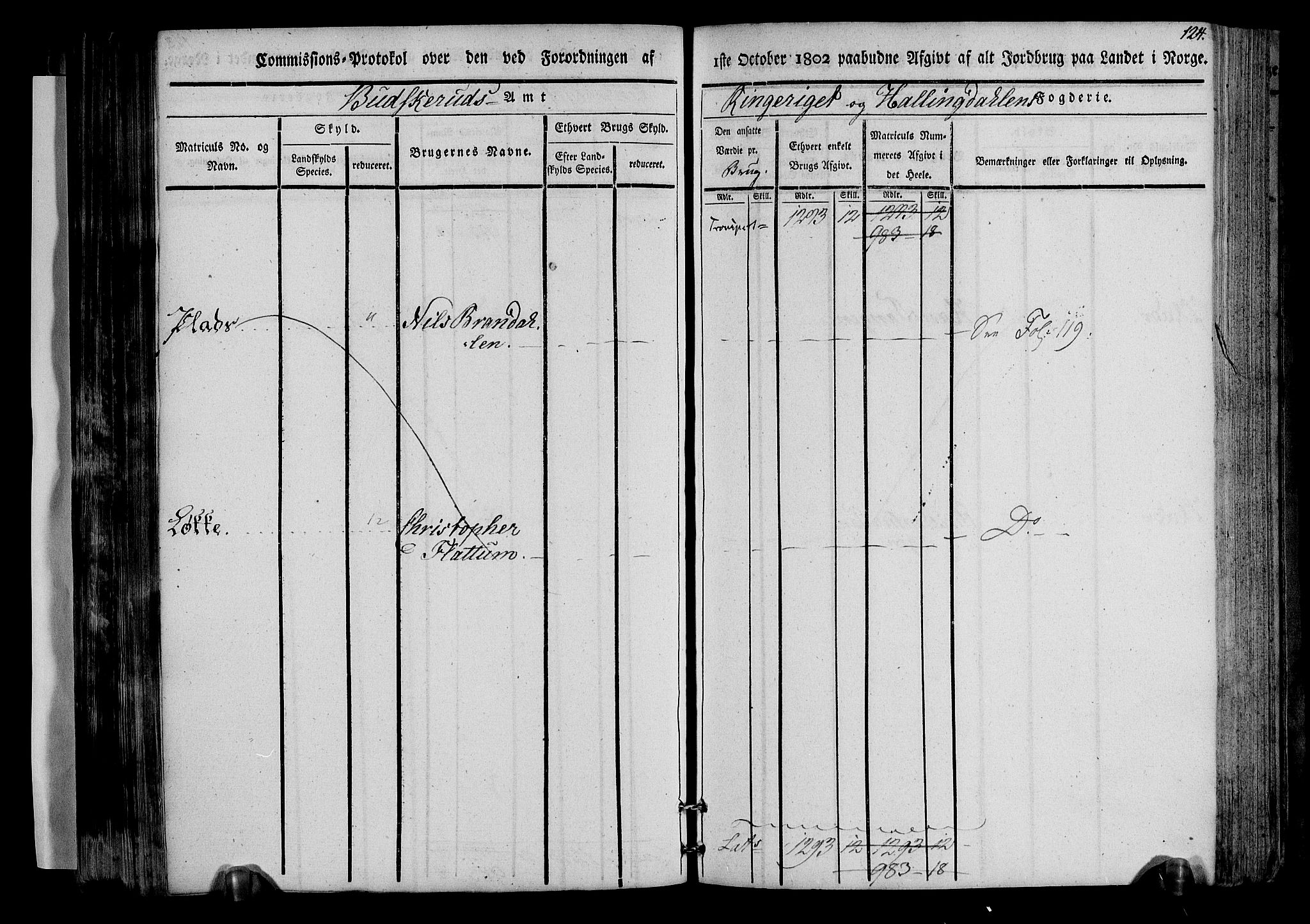 Rentekammeret inntil 1814, Realistisk ordnet avdeling, AV/RA-EA-4070/N/Ne/Nea/L0045: Ringerike og Hallingdal fogderi. Kommisjonsprotokoll for Norderhov prestegjeld, 1803, p. 127