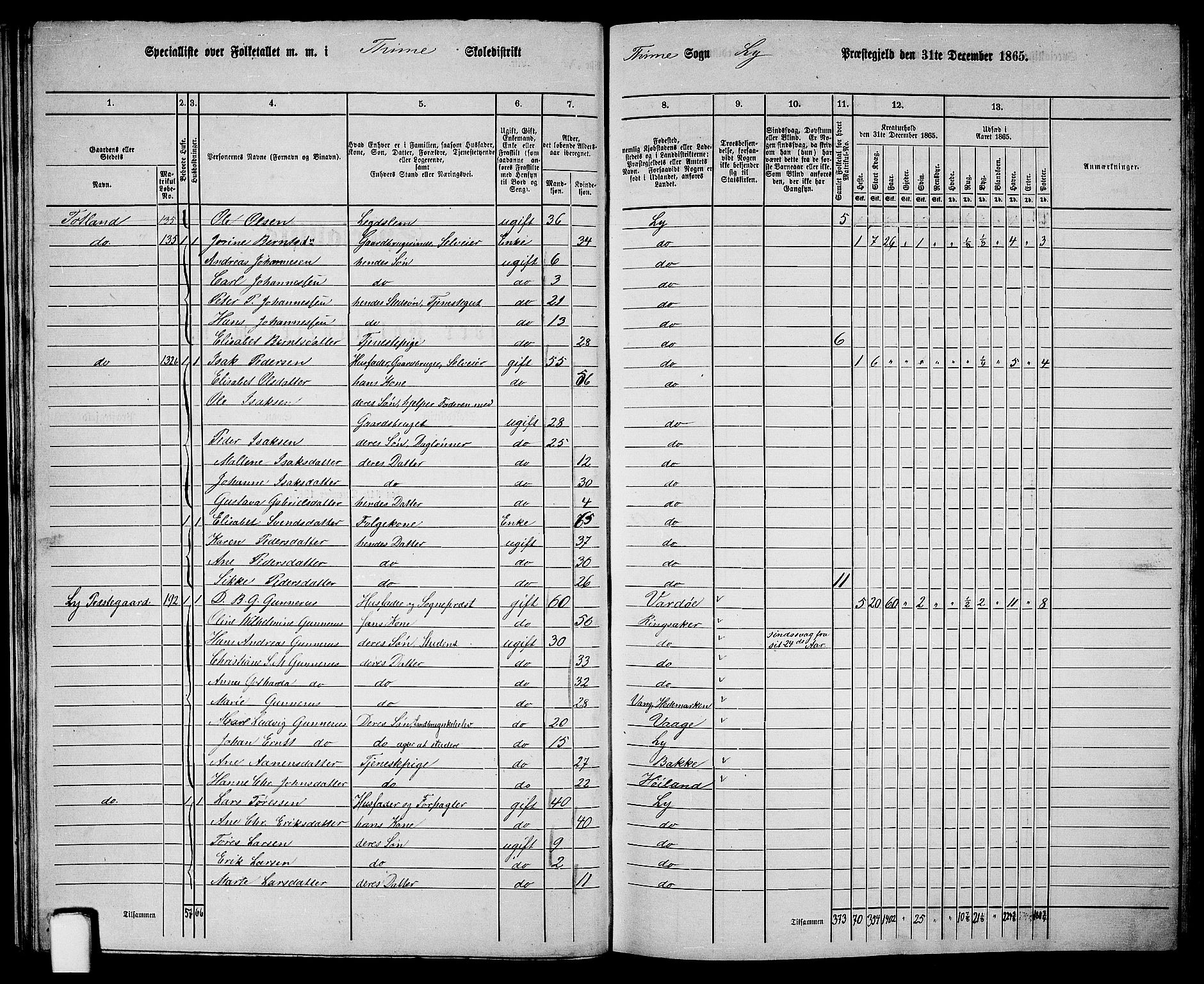 RA, 1865 census for Lye, 1865, p. 28