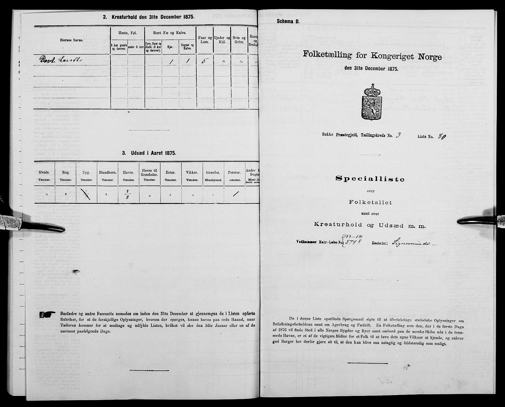 SAK, 1875 census for 1045P Bakke, 1875, p. 380