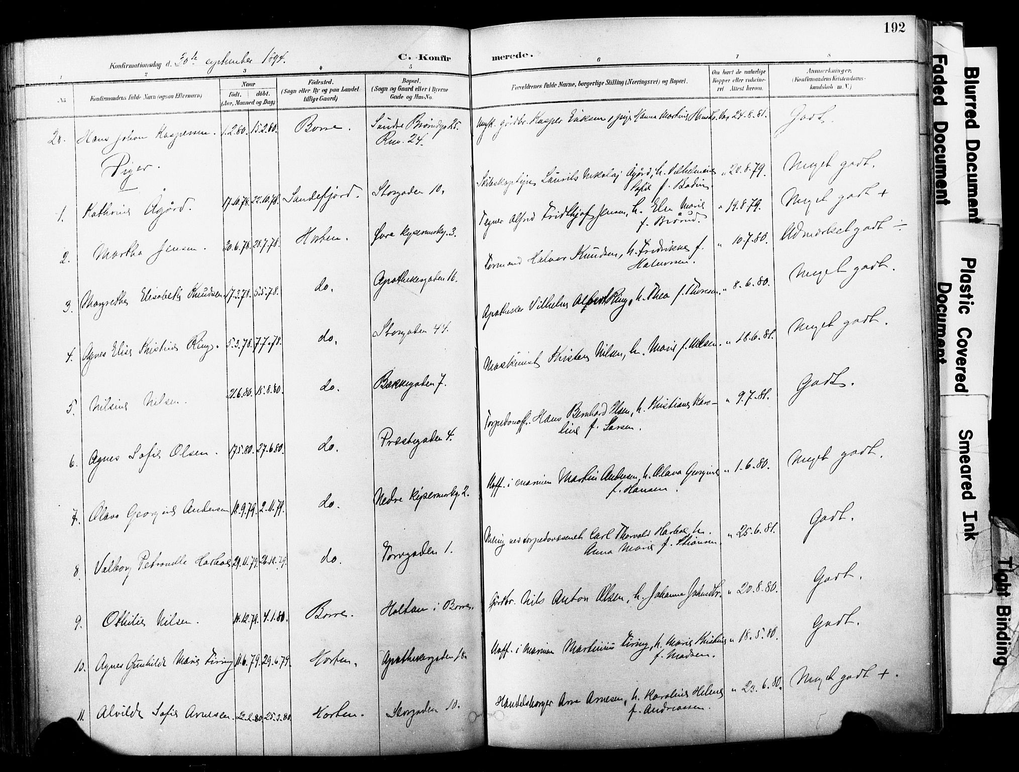 Horten kirkebøker, SAKO/A-348/F/Fa/L0004: Parish register (official) no. 4, 1888-1895, p. 192