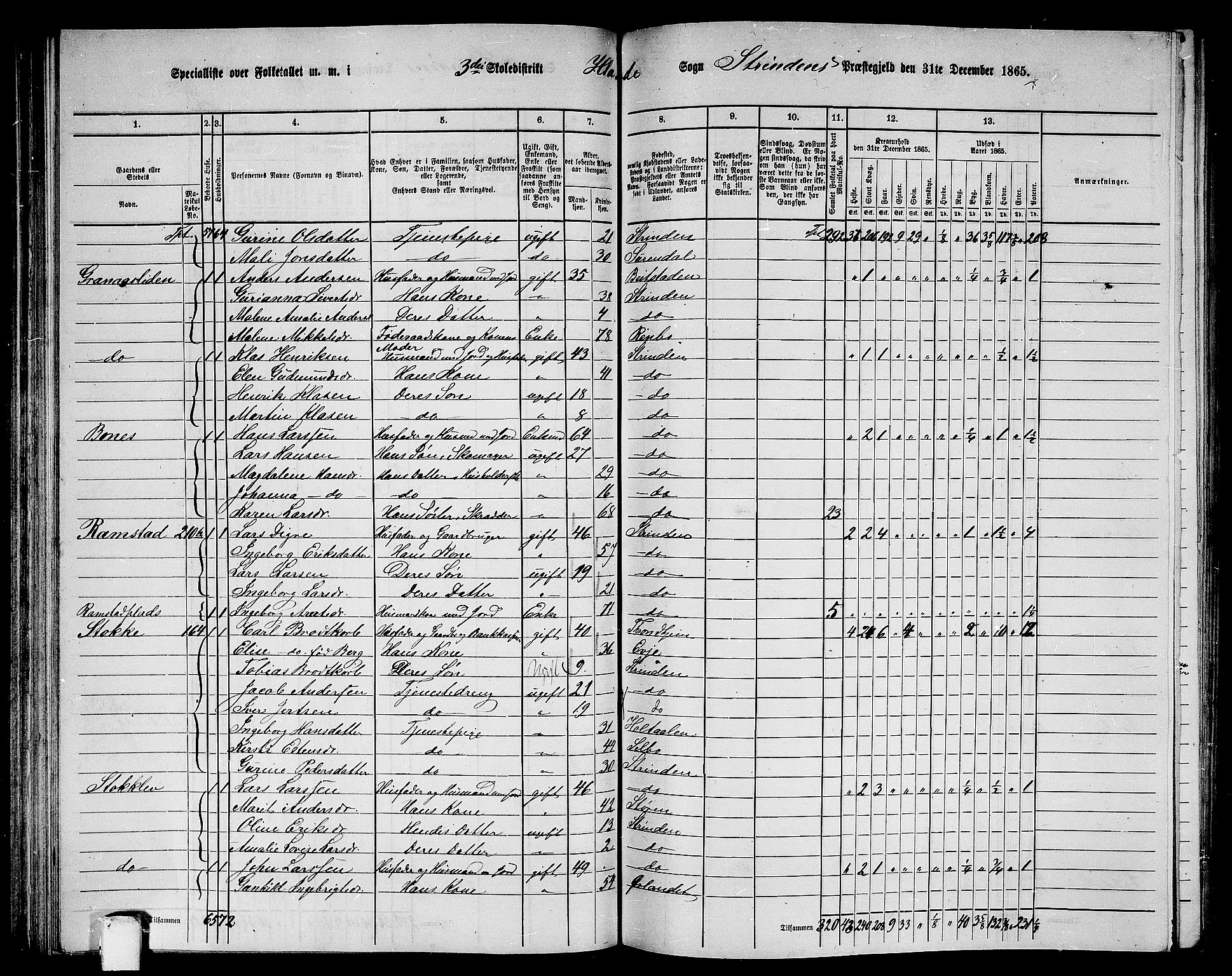 RA, 1865 census for Strinda, 1865, p. 82