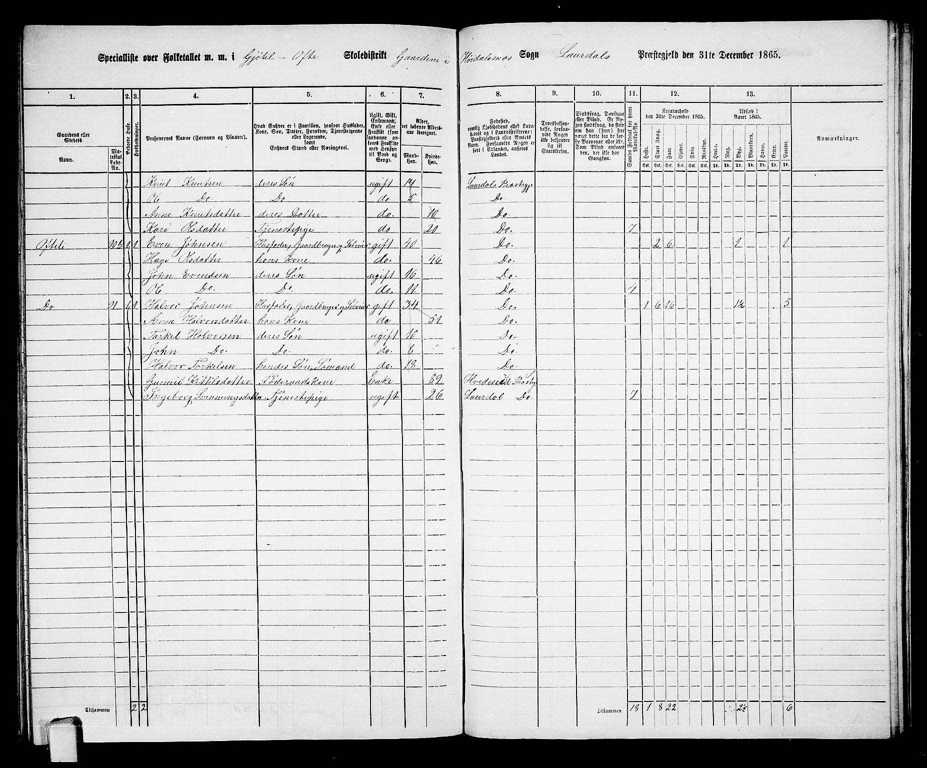 RA, 1865 census for Lårdal, 1865, p. 46