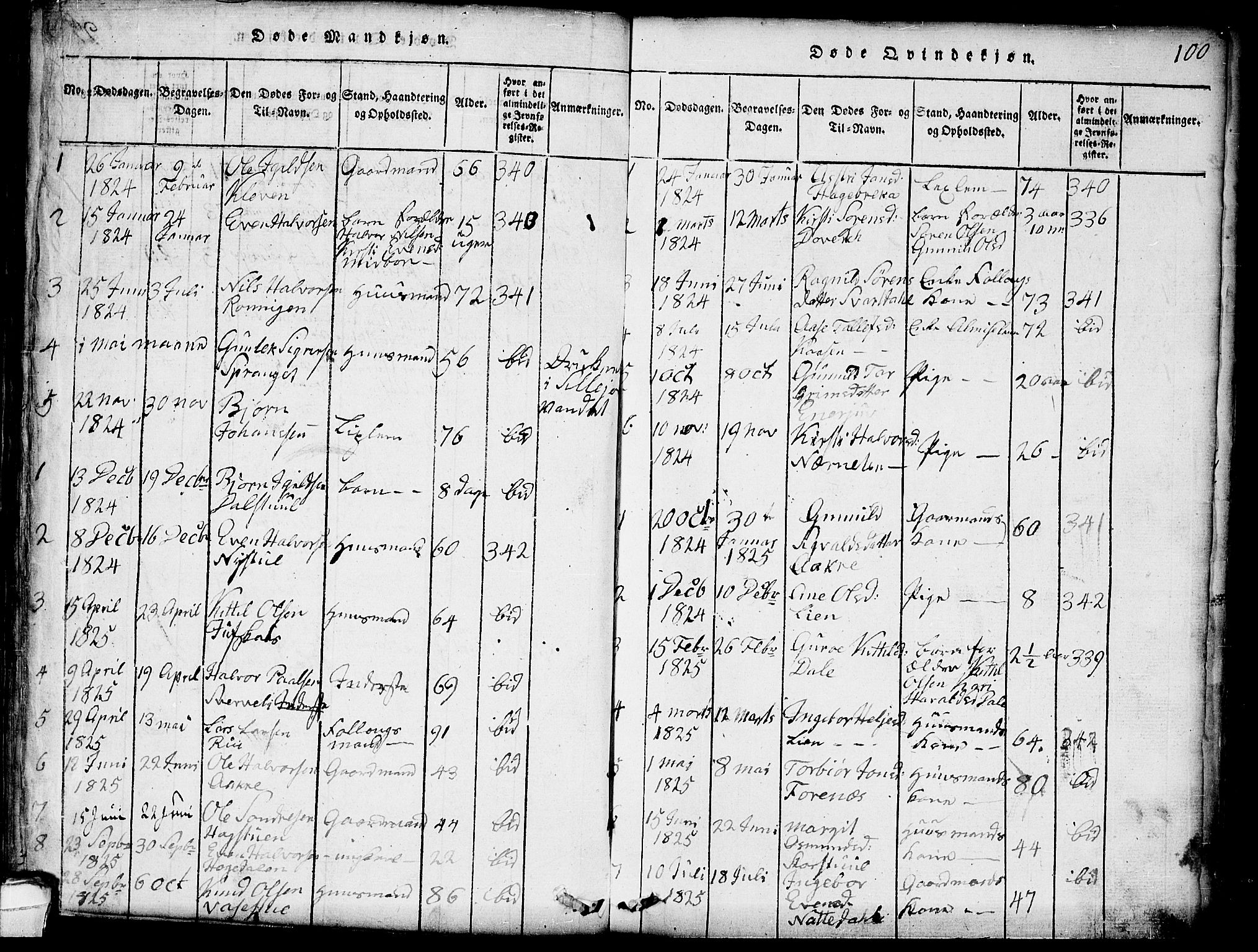 Seljord kirkebøker, SAKO/A-20/G/Gb/L0002: Parish register (copy) no. II 2, 1815-1854, p. 100