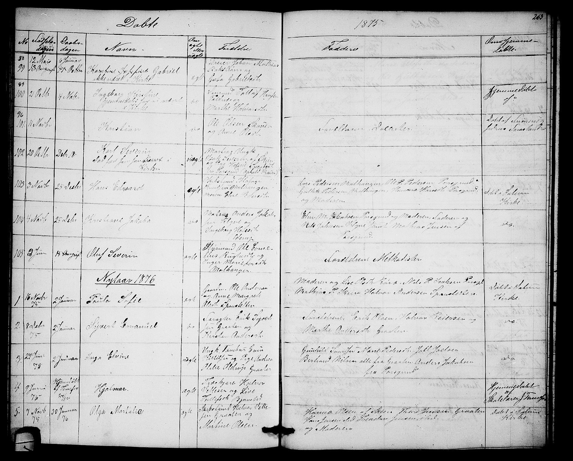 Solum kirkebøker, SAKO/A-306/G/Ga/L0004: Parish register (copy) no. I 4, 1859-1876, p. 263