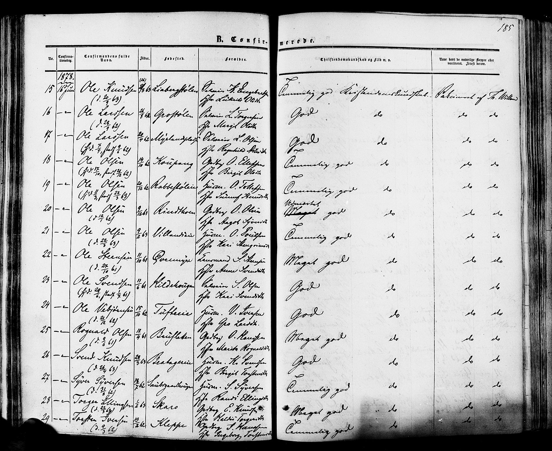 Hol kirkebøker, SAKO/A-227/F/Fa/L0002: Parish register (official) no. I 2, 1870-1886, p. 185