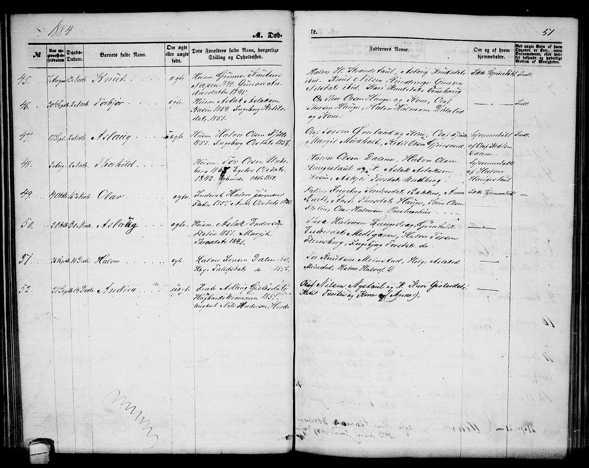 Seljord kirkebøker, AV/SAKO-A-20/G/Ga/L0004: Parish register (copy) no. I 4, 1873-1886, p. 51