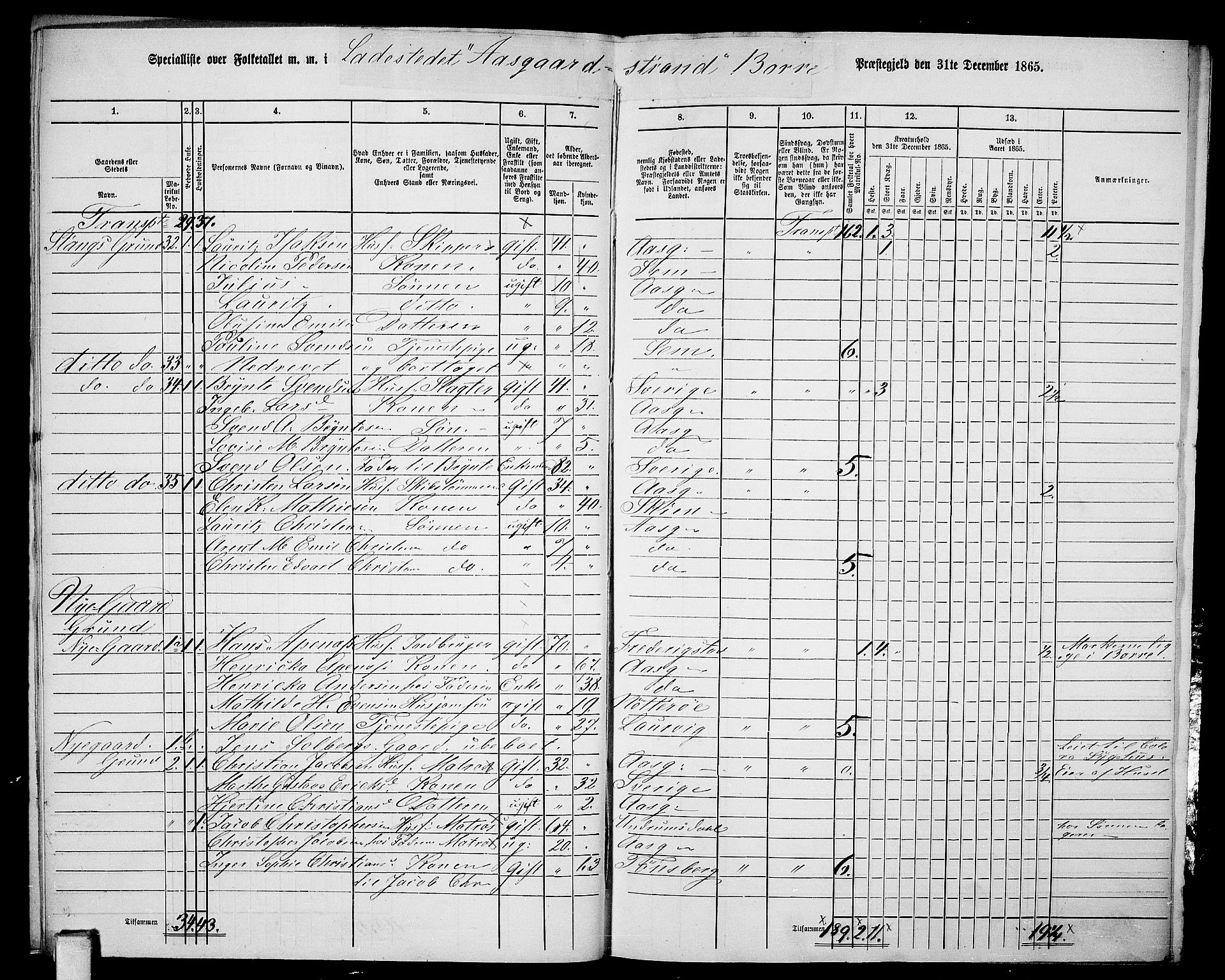 RA, 1865 census for Borre, 1865, p. 11