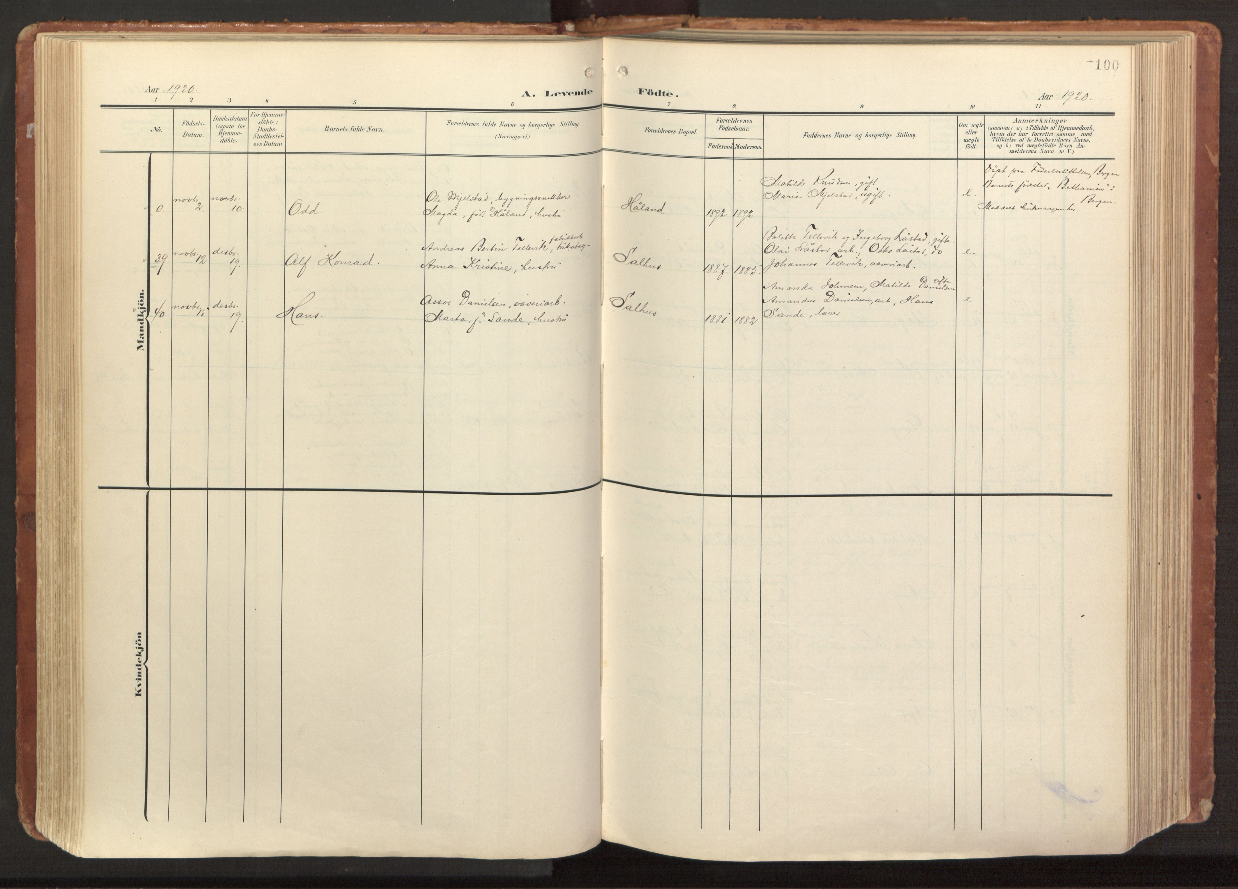 Hamre sokneprestembete, AV/SAB-A-75501/H/Ha/Haa/Haab/L0002: Parish register (official) no. B 2, 1905-1924, p. 100