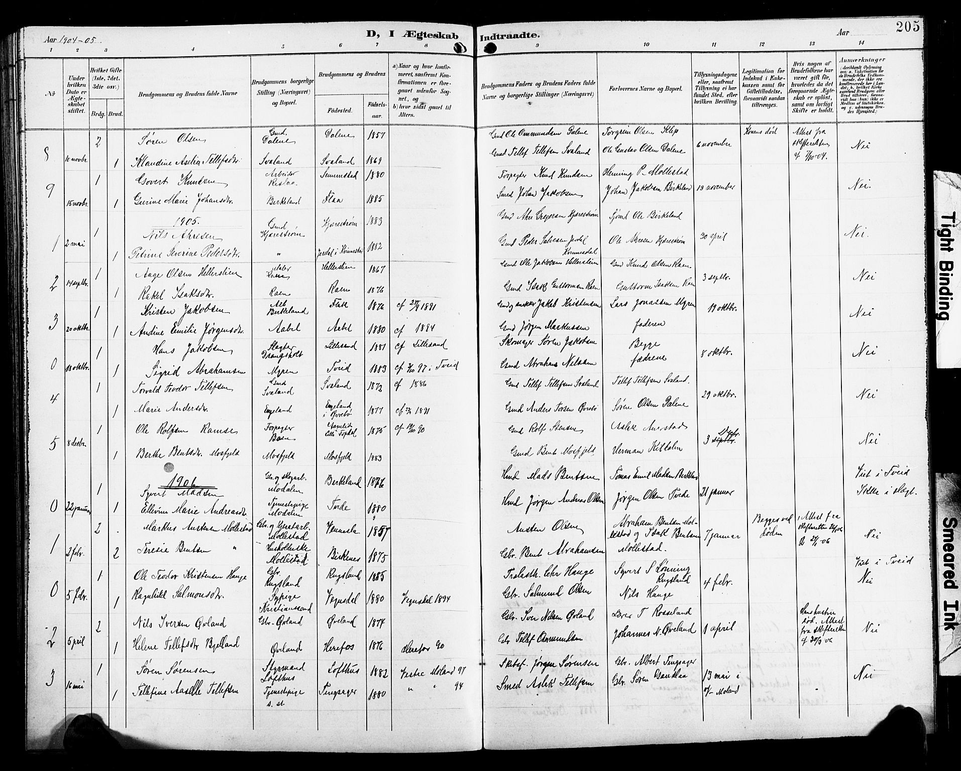 Birkenes sokneprestkontor, SAK/1111-0004/F/Fb/L0004: Parish register (copy) no. B 4, 1893-1930, p. 205