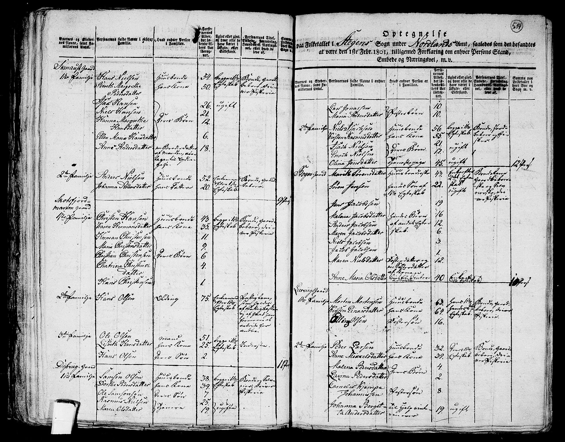 RA, 1801 census for 1848P Steigen, 1801, p. 513b-514a