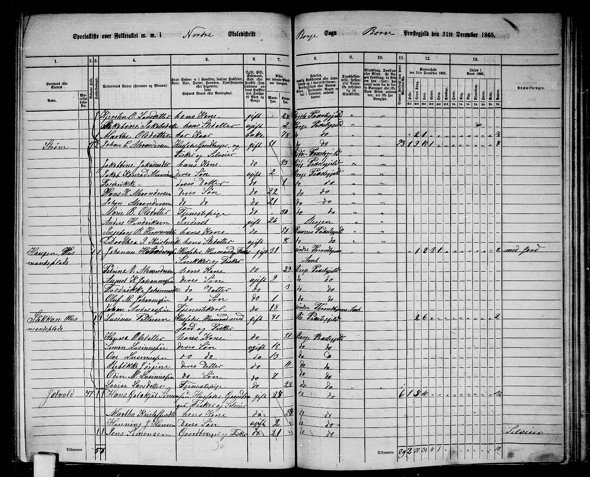 RA, 1865 census for Borge, 1865, p. 42