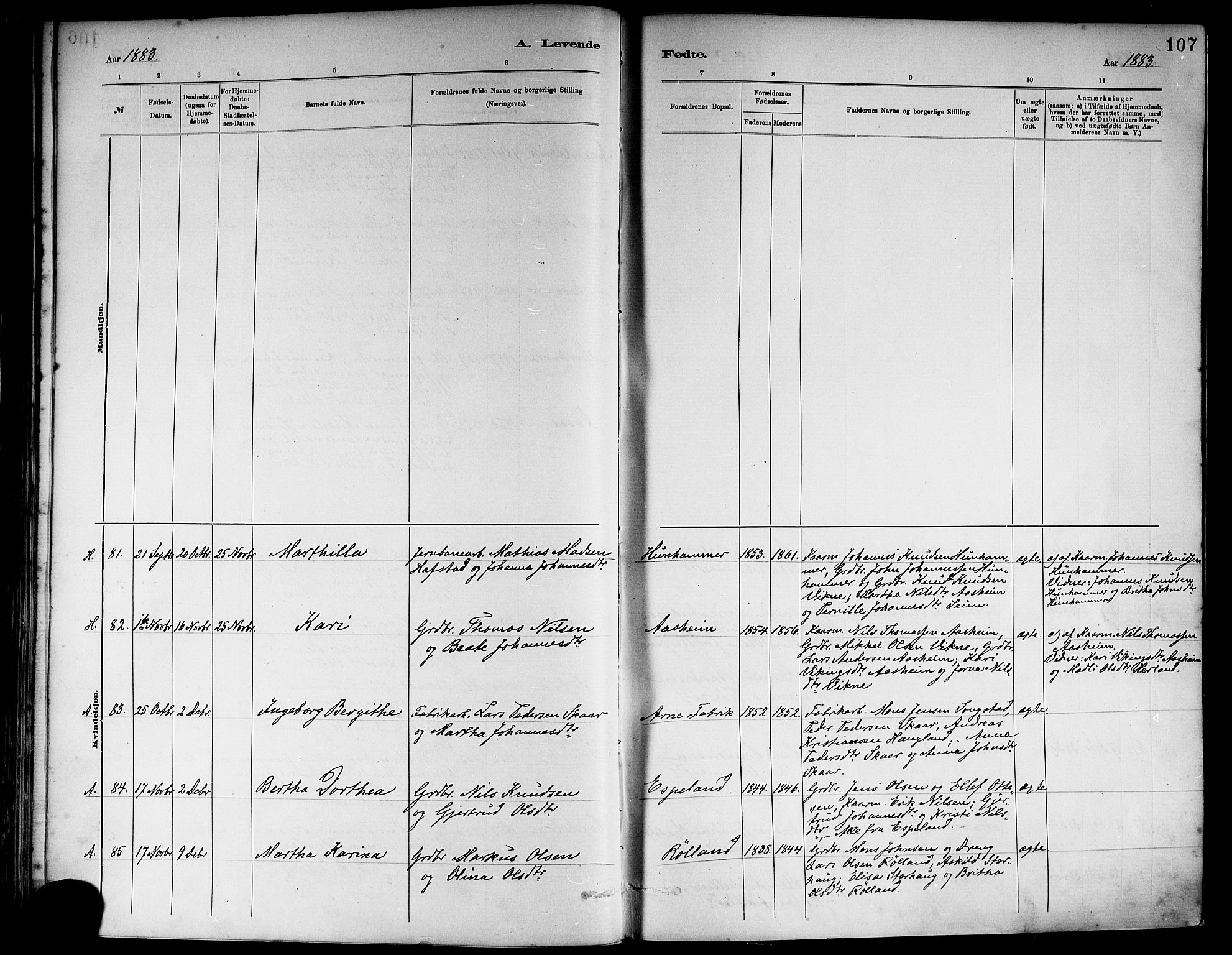 Haus sokneprestembete, AV/SAB-A-75601/H/Haa: Parish register (official) no. A 19I, 1878-1886, p. 107