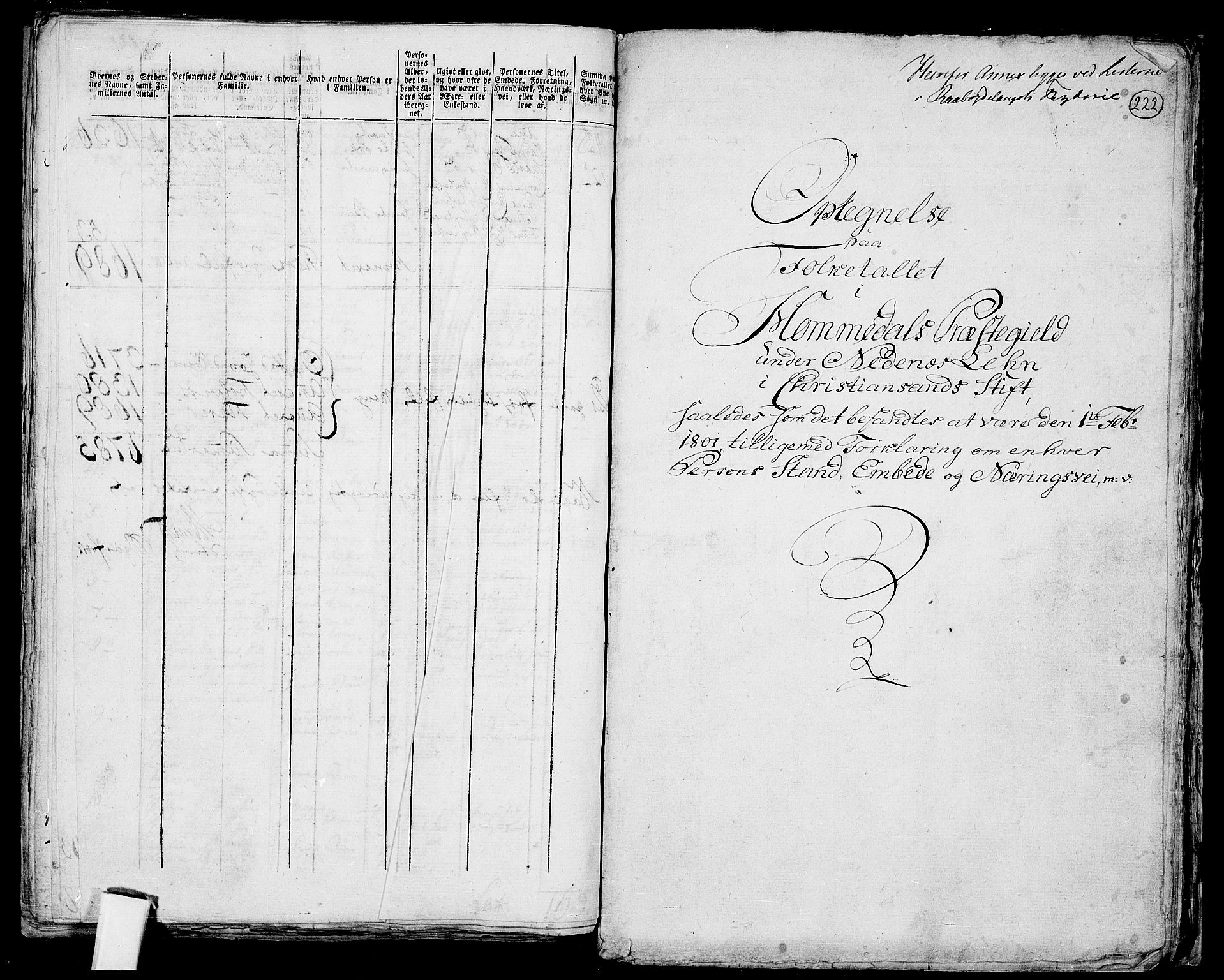 RA, 1801 census for 0924P Homedal, 1801, p. 221b-222a