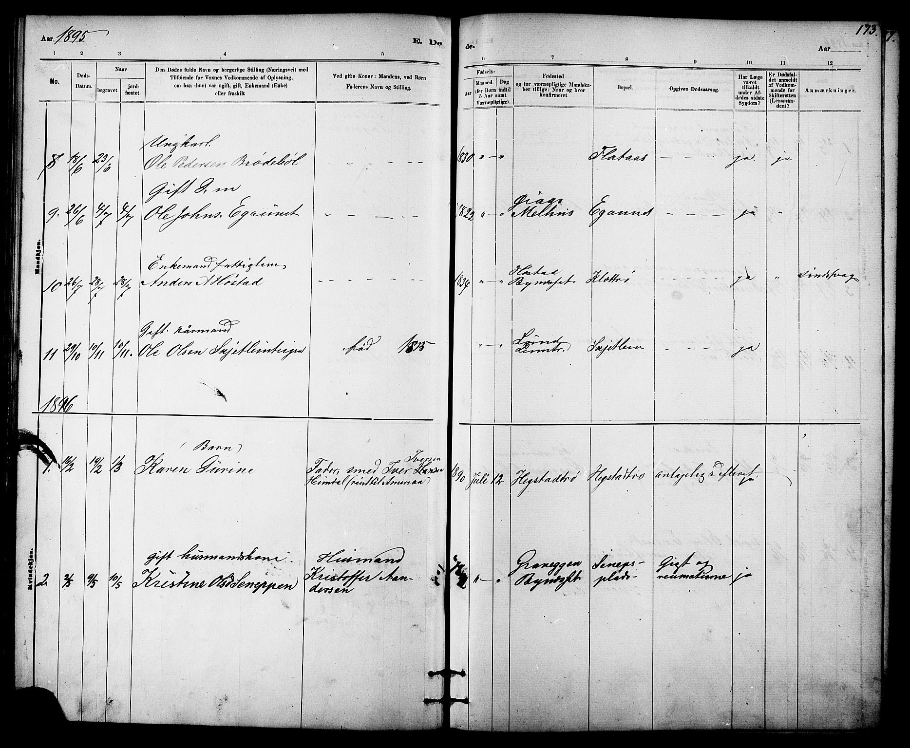 Ministerialprotokoller, klokkerbøker og fødselsregistre - Sør-Trøndelag, SAT/A-1456/613/L0395: Parish register (copy) no. 613C03, 1887-1909, p. 173