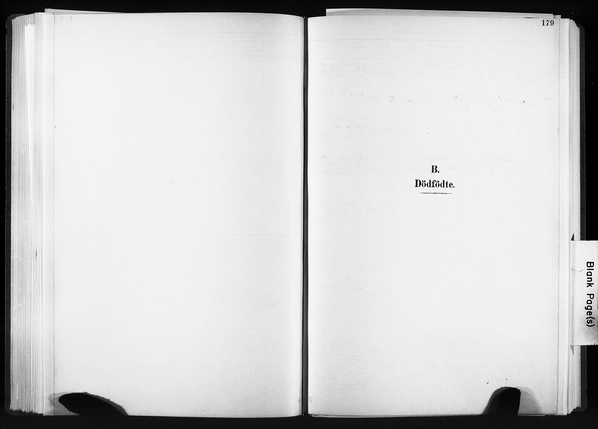 Ministerialprotokoller, klokkerbøker og fødselsregistre - Sør-Trøndelag, SAT/A-1456/606/L0300: Parish register (official) no. 606A15, 1886-1893, p. 179