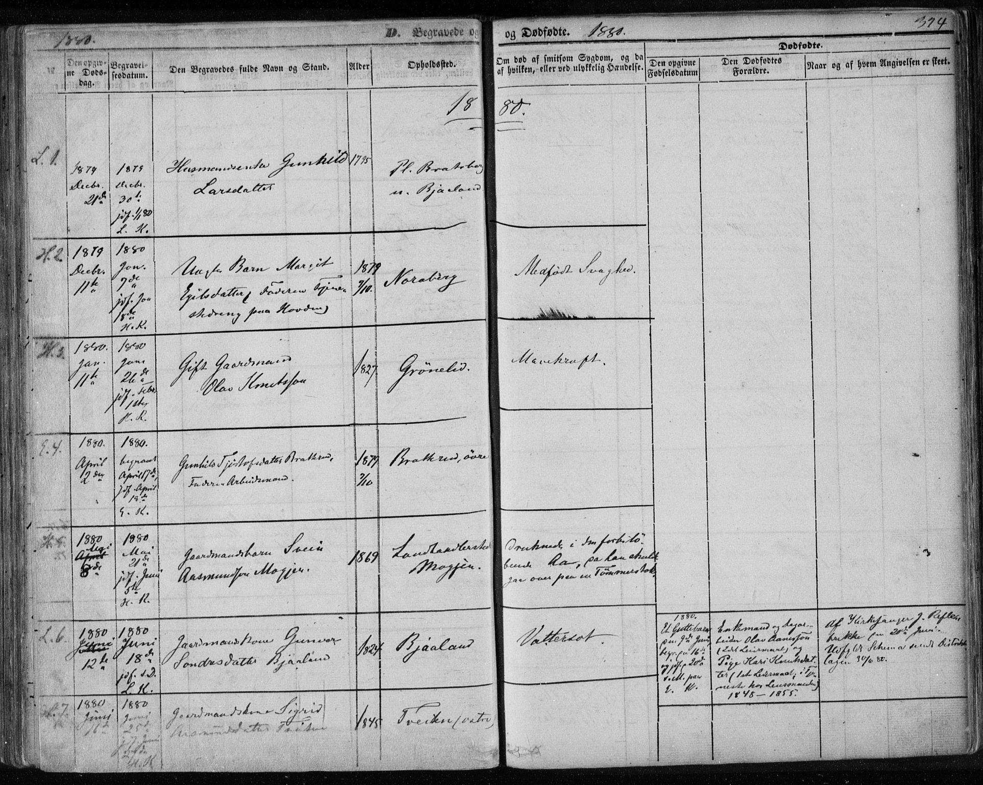 Lårdal kirkebøker, SAKO/A-284/F/Fa/L0006: Parish register (official) no. I 6, 1861-1886, p. 324