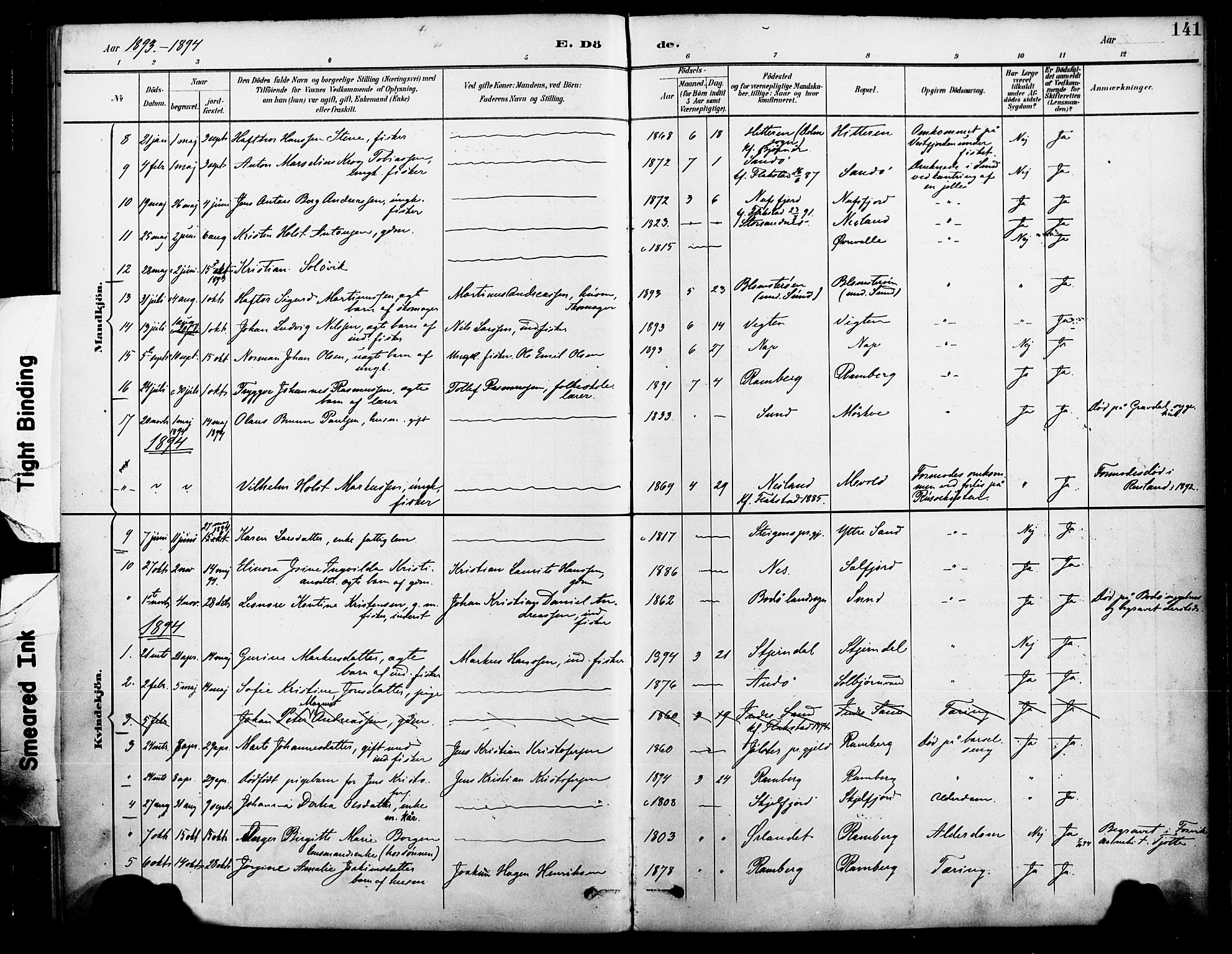 Ministerialprotokoller, klokkerbøker og fødselsregistre - Nordland, AV/SAT-A-1459/885/L1205: Parish register (official) no. 885A06, 1892-1905, p. 141