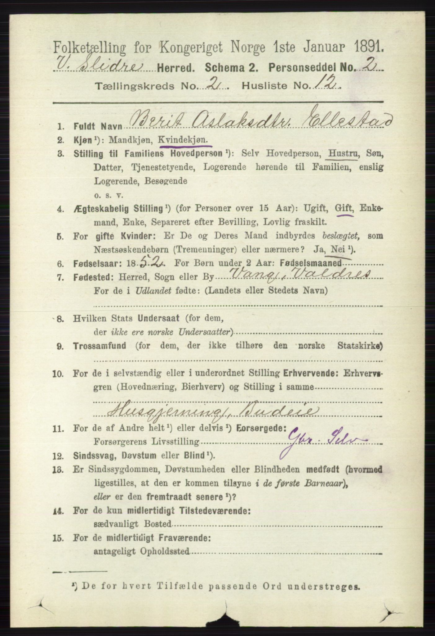 RA, 1891 census for 0543 Vestre Slidre, 1891, p. 597