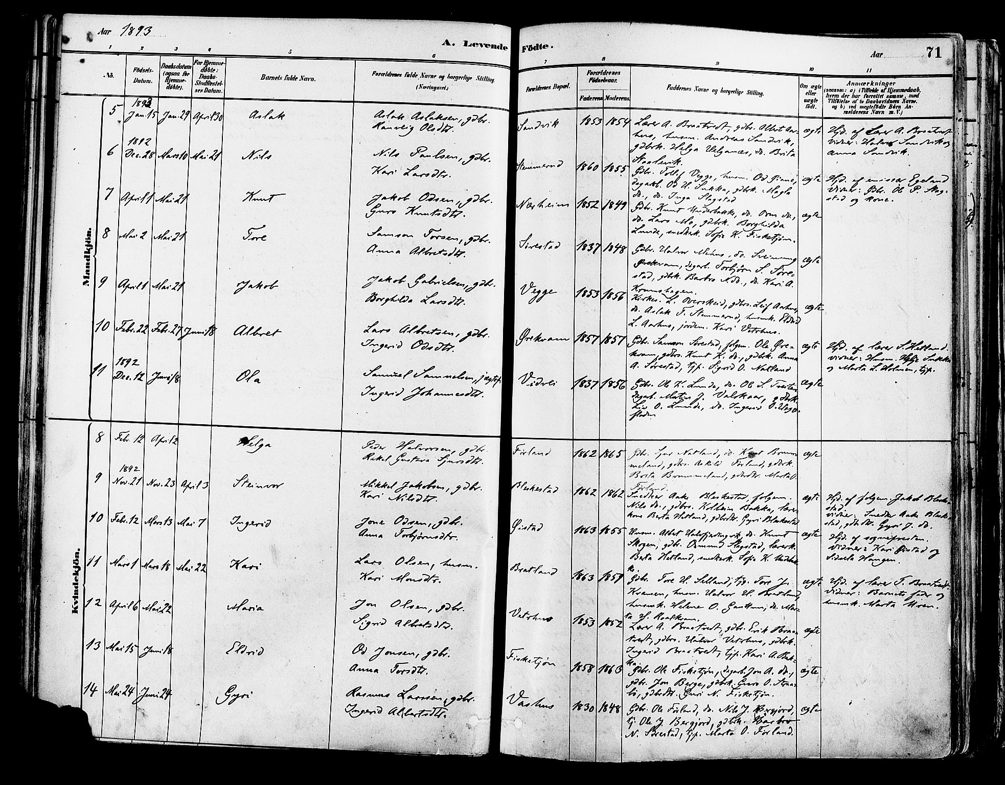 Suldal sokneprestkontor, AV/SAST-A-101845/01/IV/L0011: Parish register (official) no. A 11, 1878-1900, p. 71