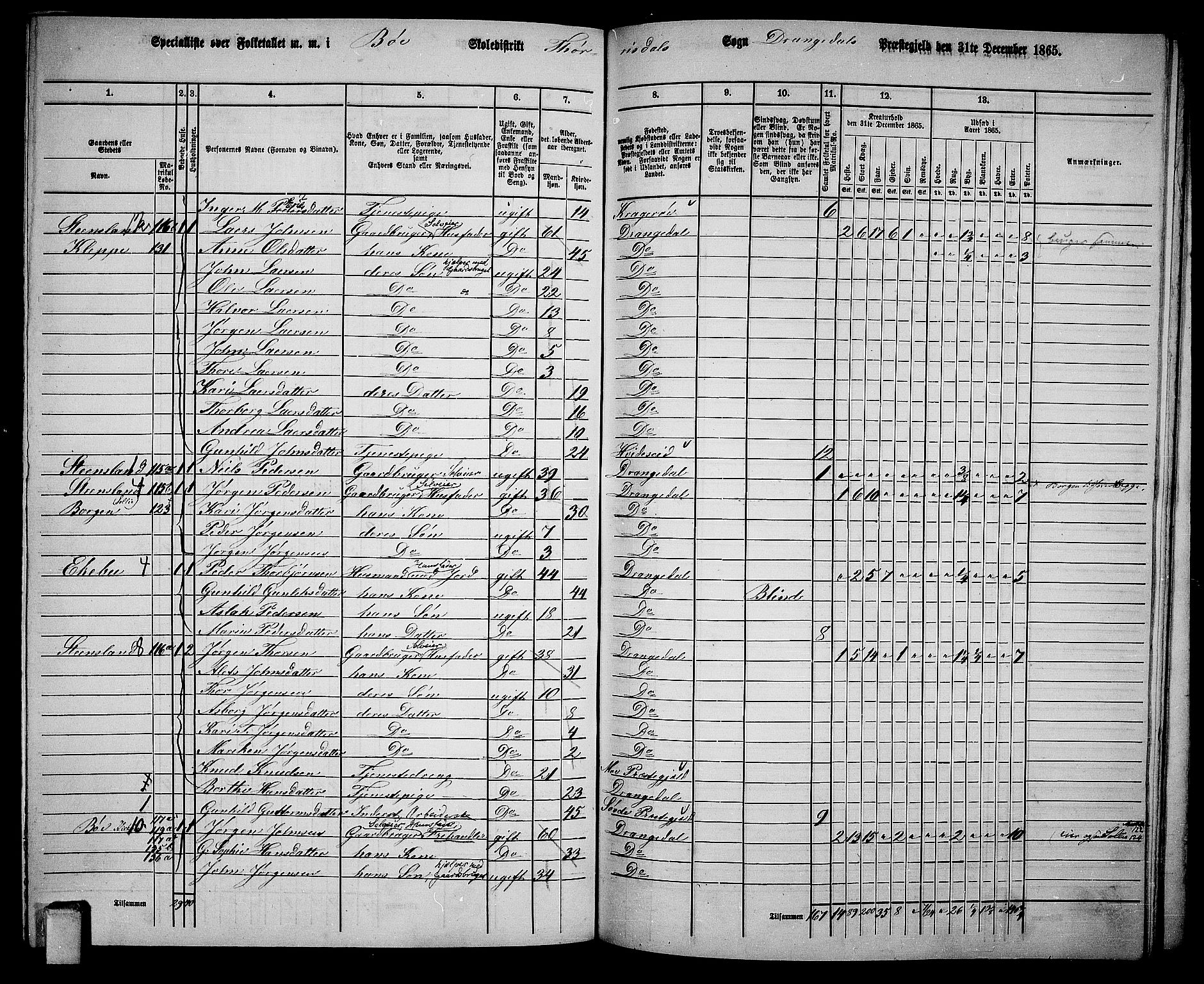 RA, 1865 census for Drangedal, 1865, p. 116