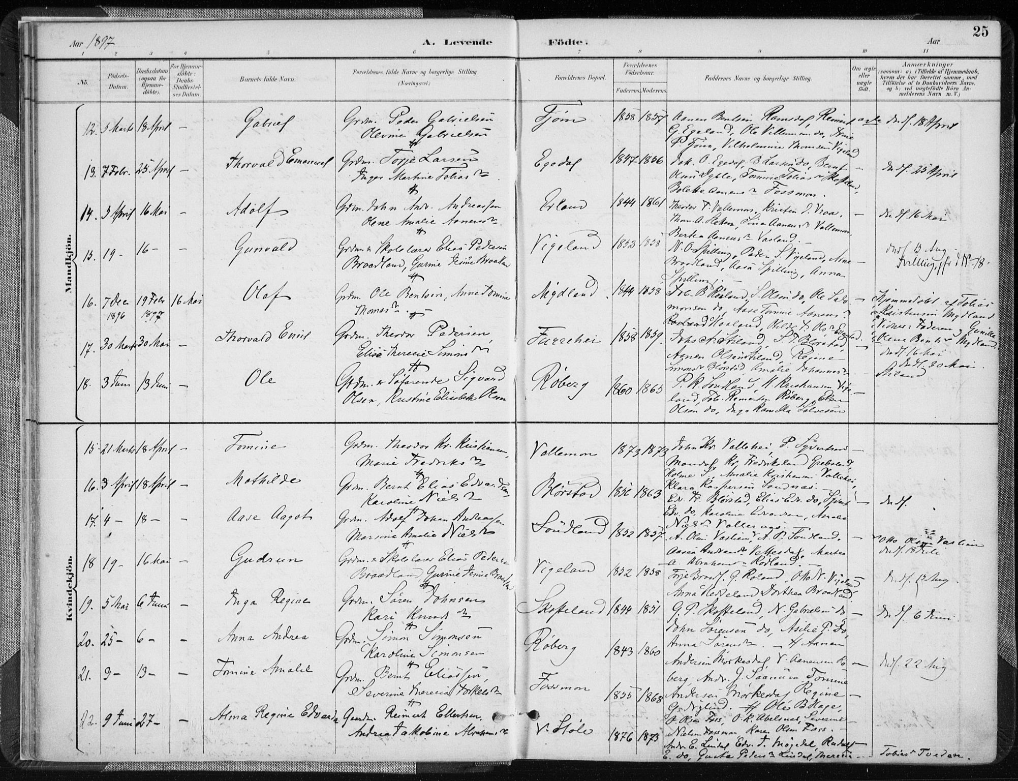 Sør-Audnedal sokneprestkontor, AV/SAK-1111-0039/F/Fa/Fab/L0010: Parish register (official) no. A 10, 1892-1913, p. 25