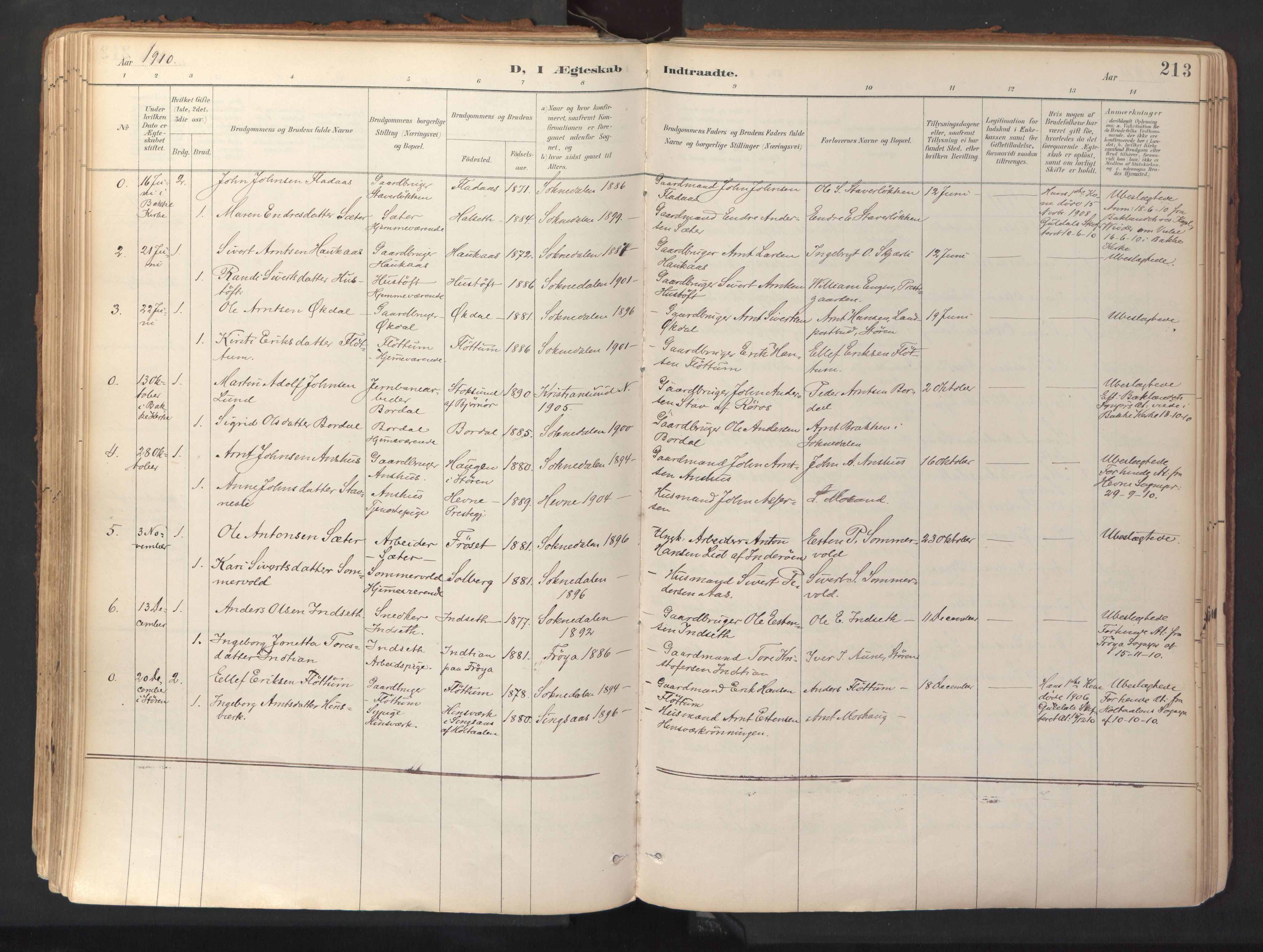 Ministerialprotokoller, klokkerbøker og fødselsregistre - Sør-Trøndelag, SAT/A-1456/689/L1041: Parish register (official) no. 689A06, 1891-1923, p. 213