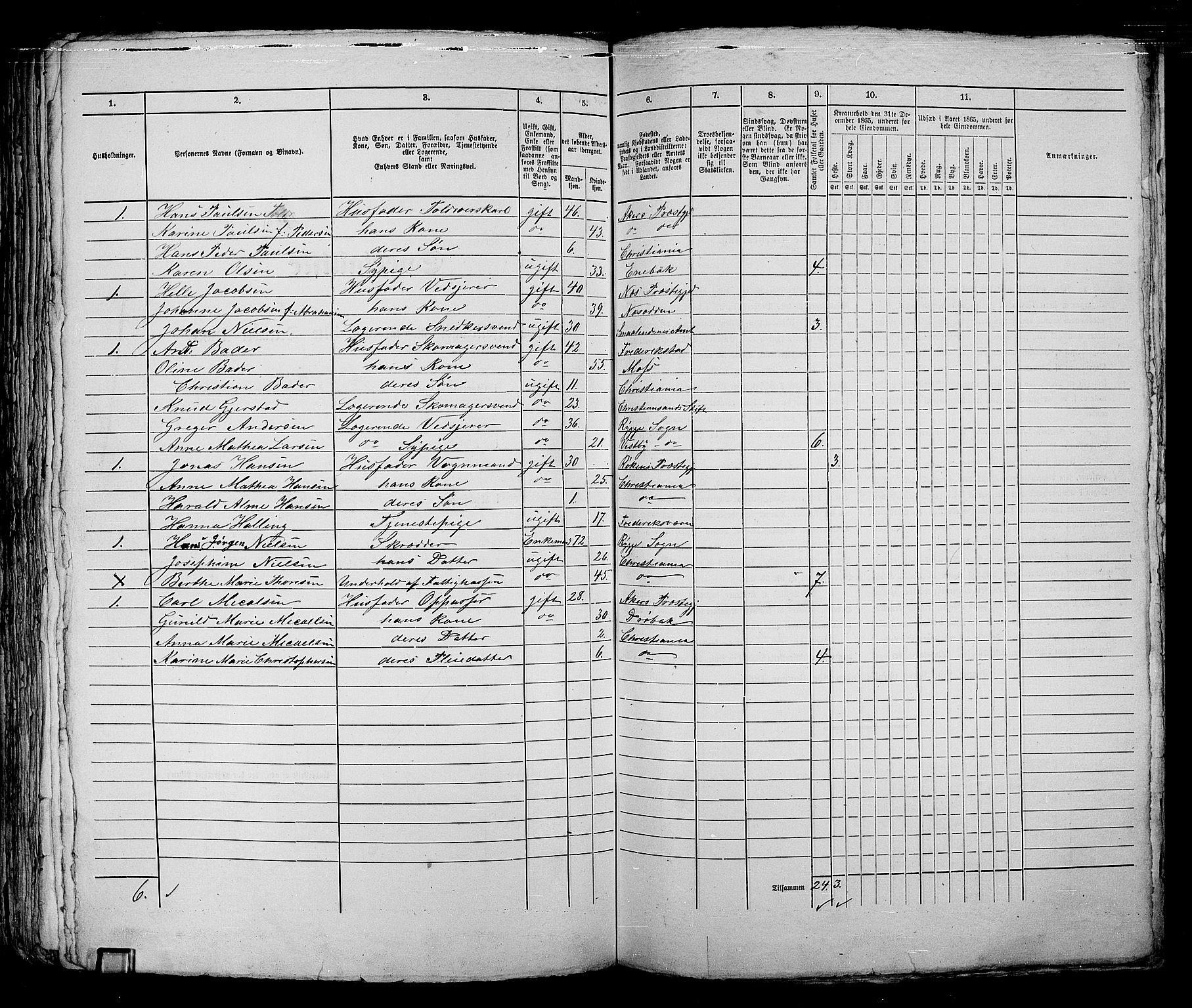 RA, 1865 census for Kristiania, 1865, p. 2004