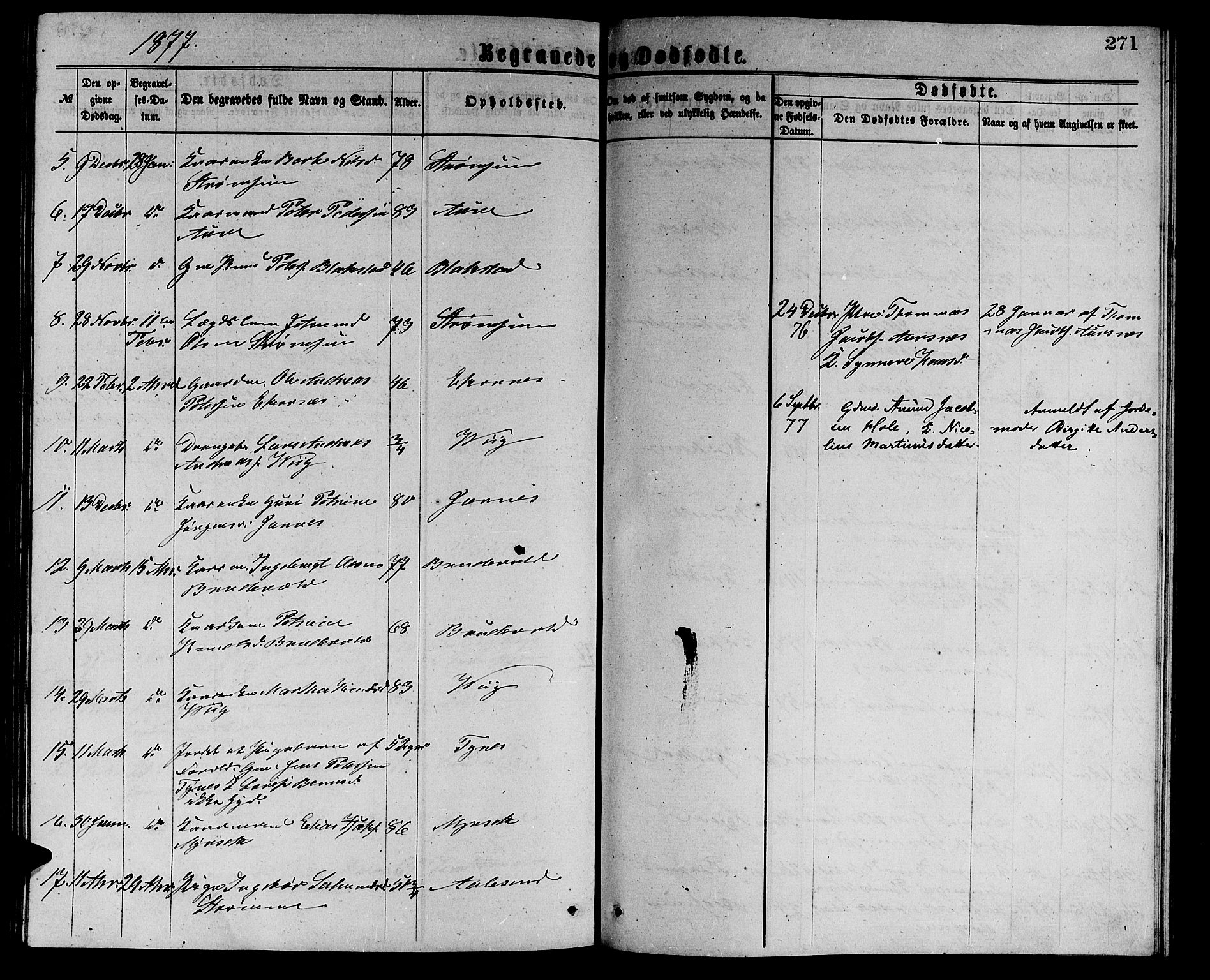 Ministerialprotokoller, klokkerbøker og fødselsregistre - Møre og Romsdal, AV/SAT-A-1454/523/L0338: Parish register (copy) no. 523C01, 1865-1877, p. 271