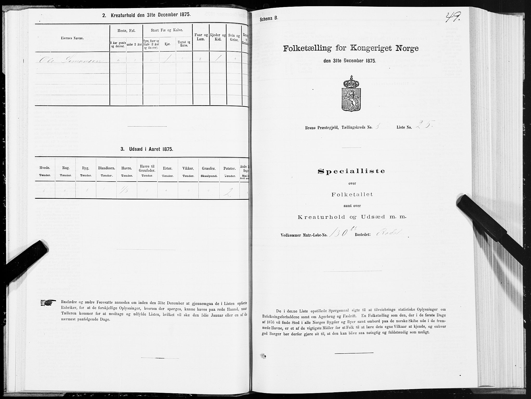 SAT, 1875 census for 1814P Brønnøy, 1875, p. 3049