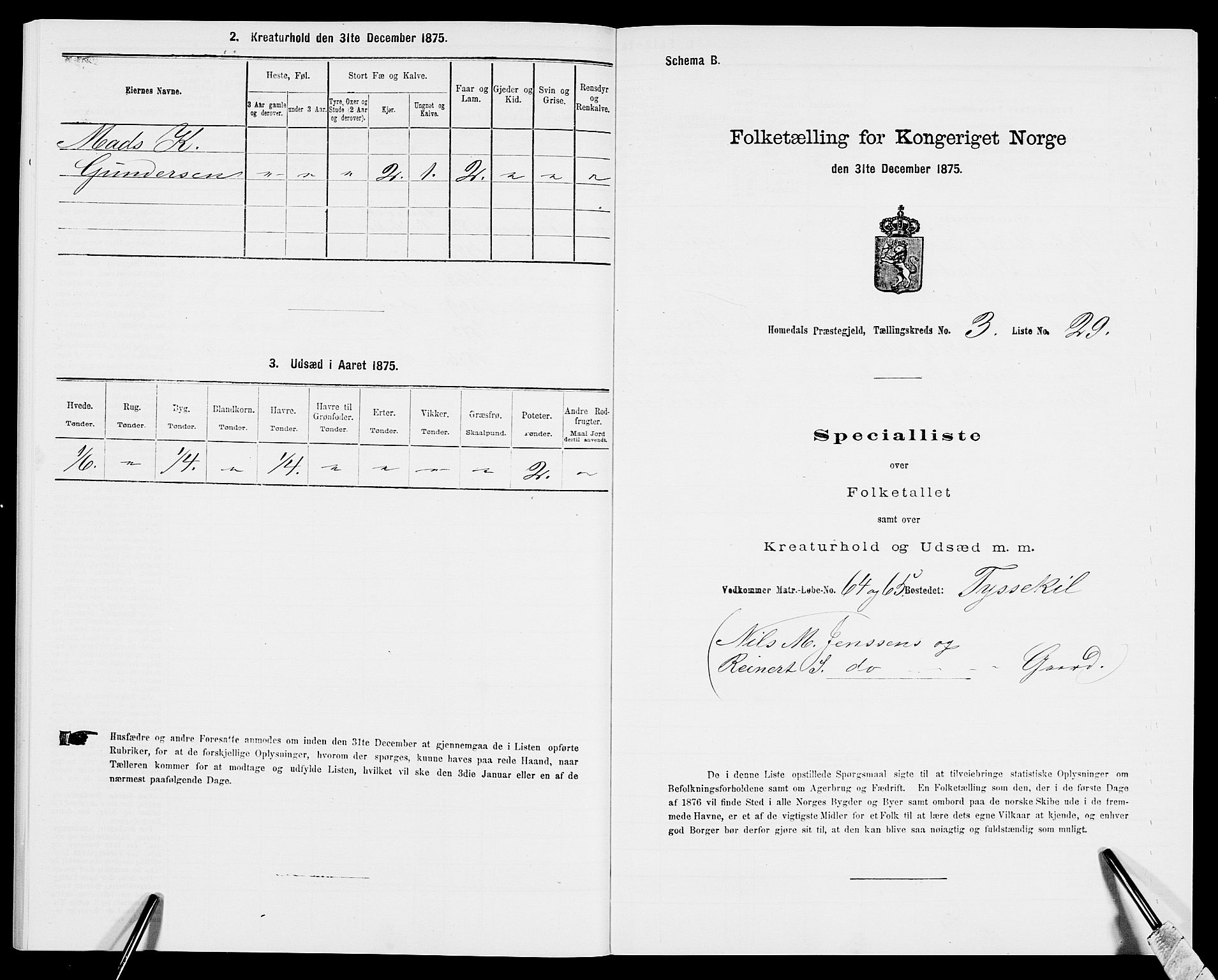 SAK, 1875 census for 0924P Homedal, 1875, p. 794