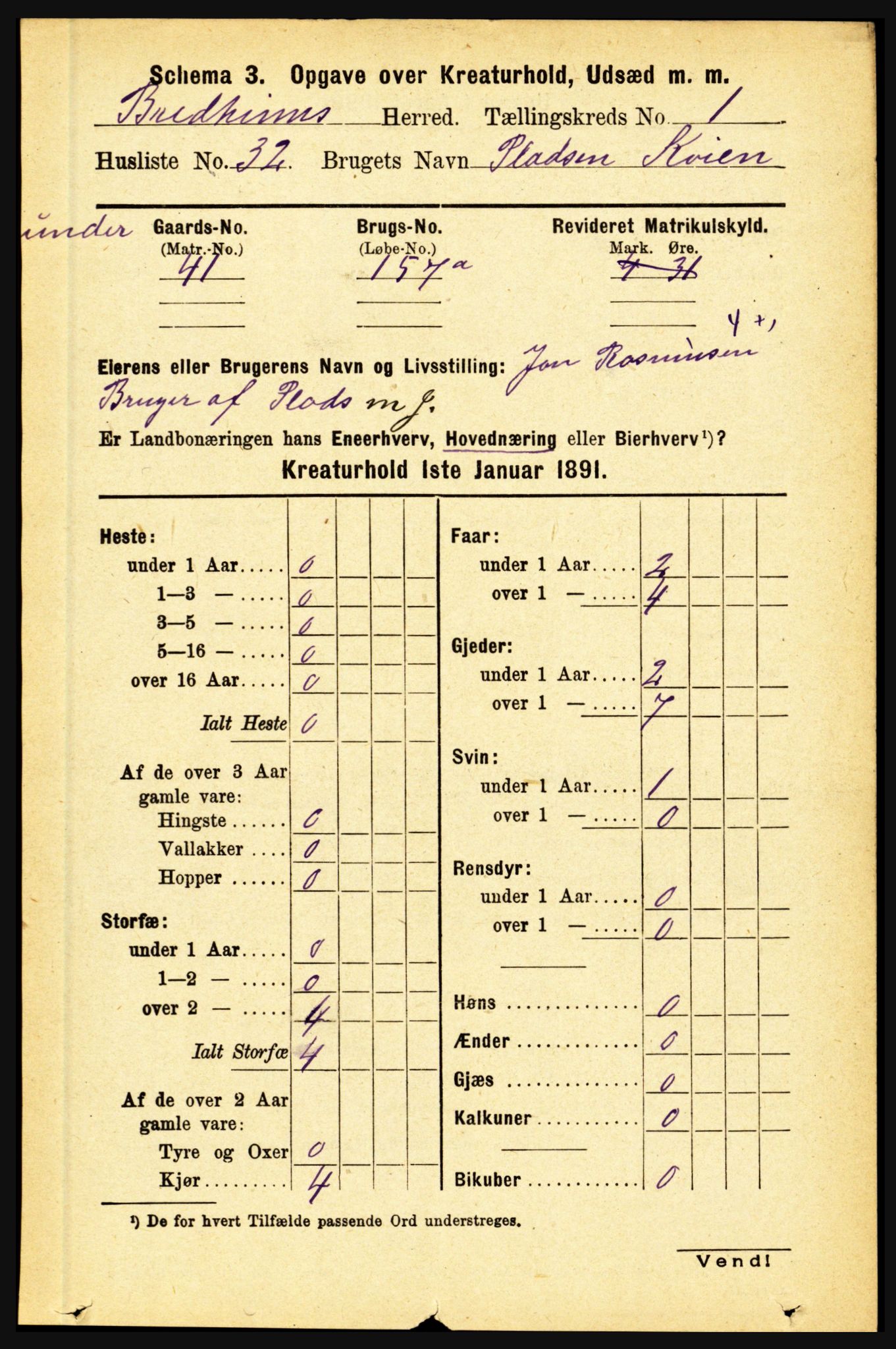 RA, 1891 census for 1446 Breim, 1891, p. 2394