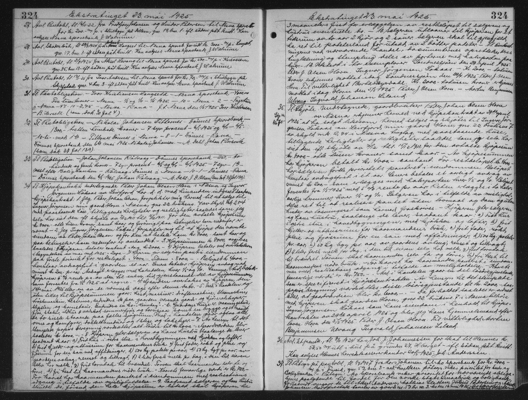 Rana sorenskriveri , AV/SAT-A-1108/1/2/2C/L0018: Mortgage book no. 18, 1923-1928, p. 324, Deed date: 23.05.1925