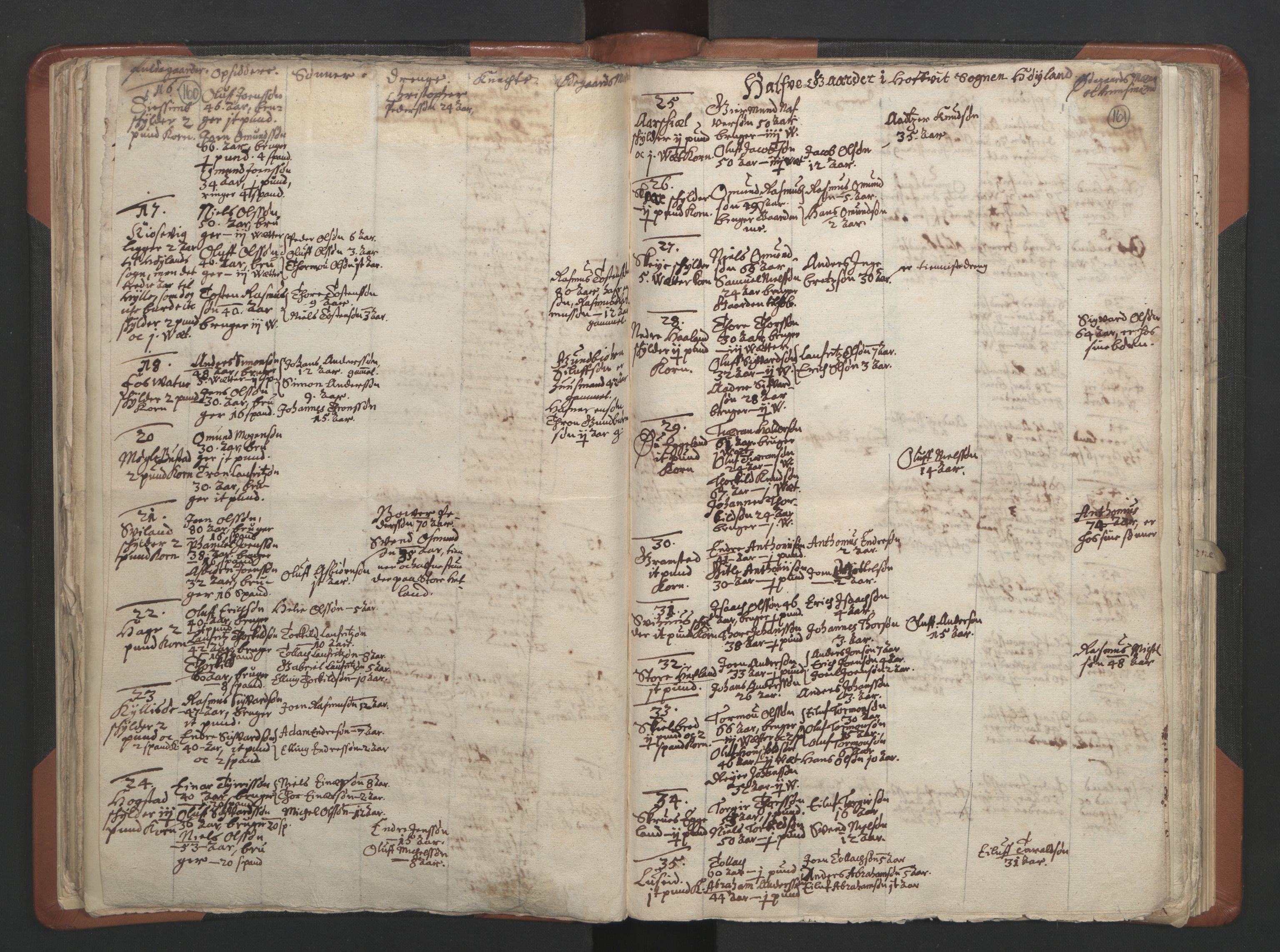 RA, Vicar's Census 1664-1666, no. 17: Jæren deanery and Dalane deanery, 1664-1666, p. 160-161