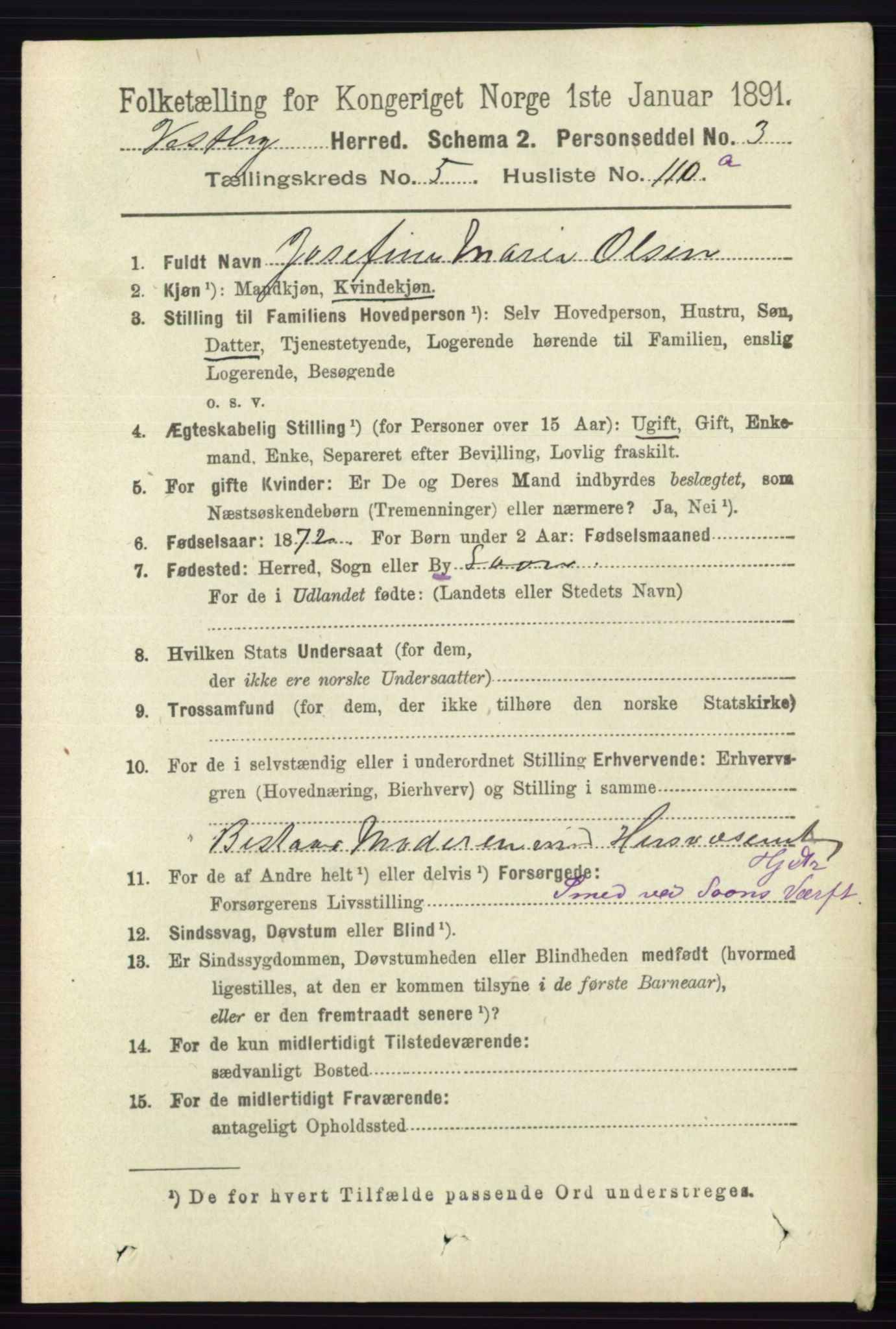 RA, 1891 census for 0211 Vestby, 1891, p. 2800