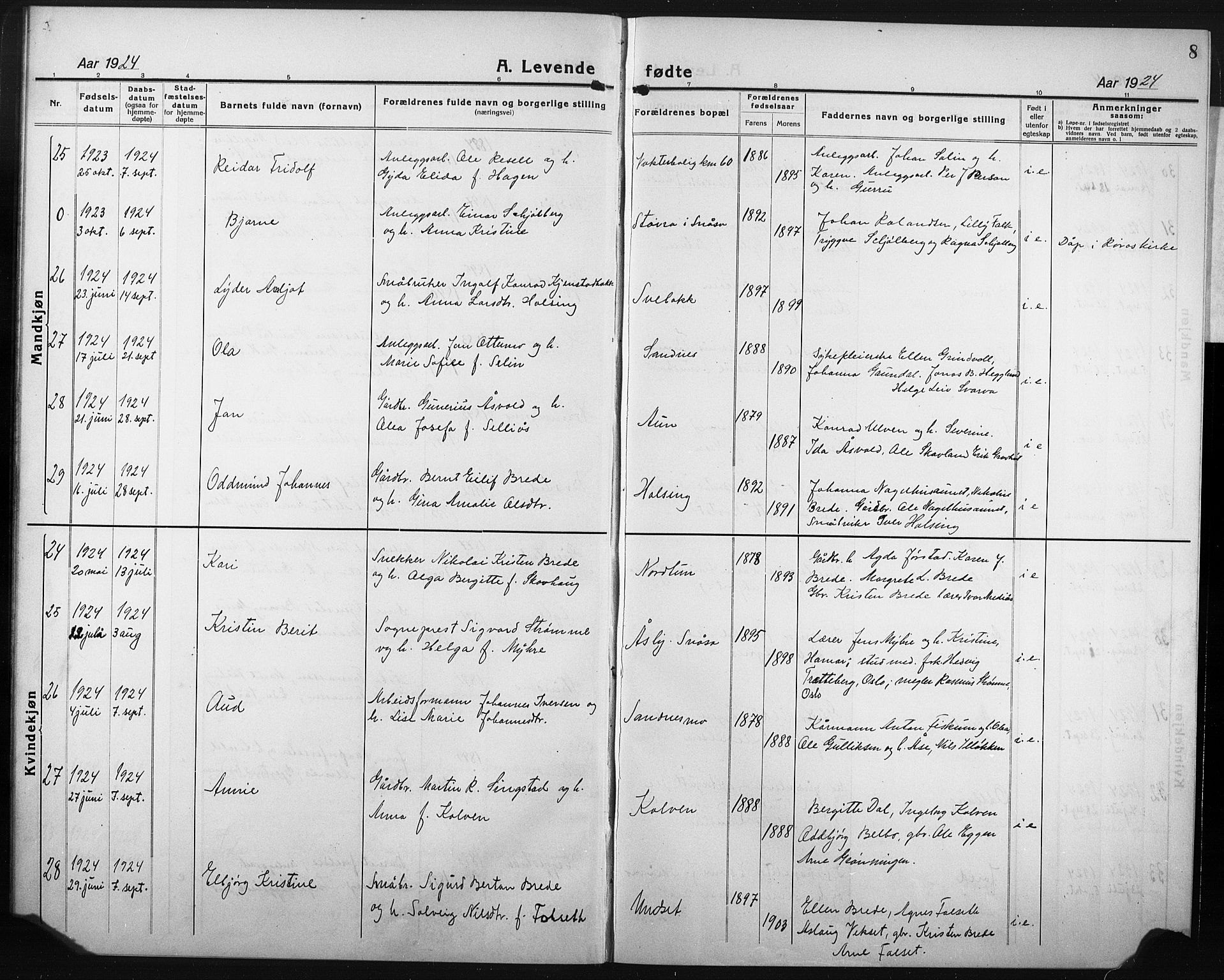 Ministerialprotokoller, klokkerbøker og fødselsregistre - Nord-Trøndelag, AV/SAT-A-1458/749/L0480: Parish register (copy) no. 749C02, 1924-1932, p. 8