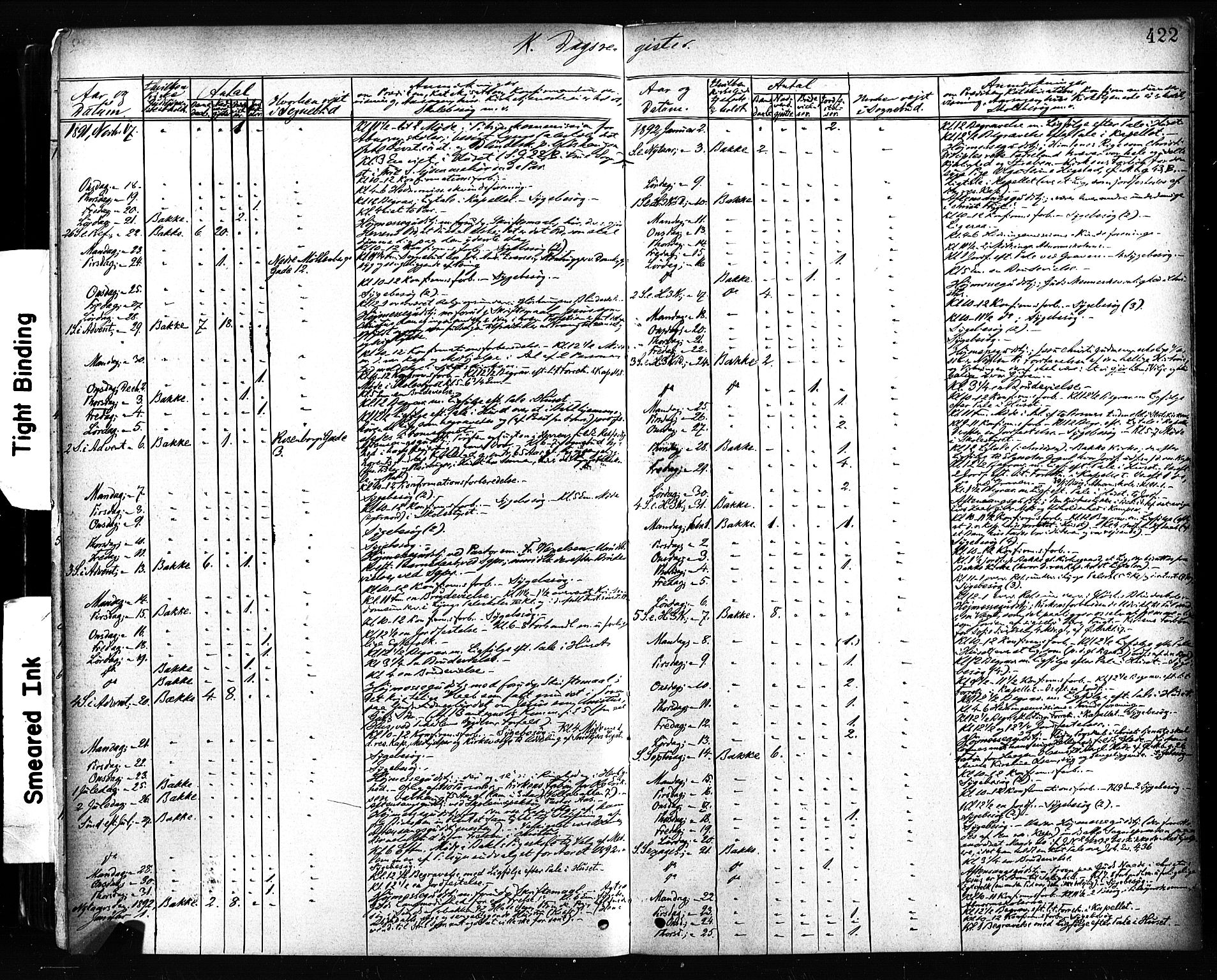 Ministerialprotokoller, klokkerbøker og fødselsregistre - Sør-Trøndelag, AV/SAT-A-1456/604/L0189: Parish register (official) no. 604A10, 1878-1892, p. 422